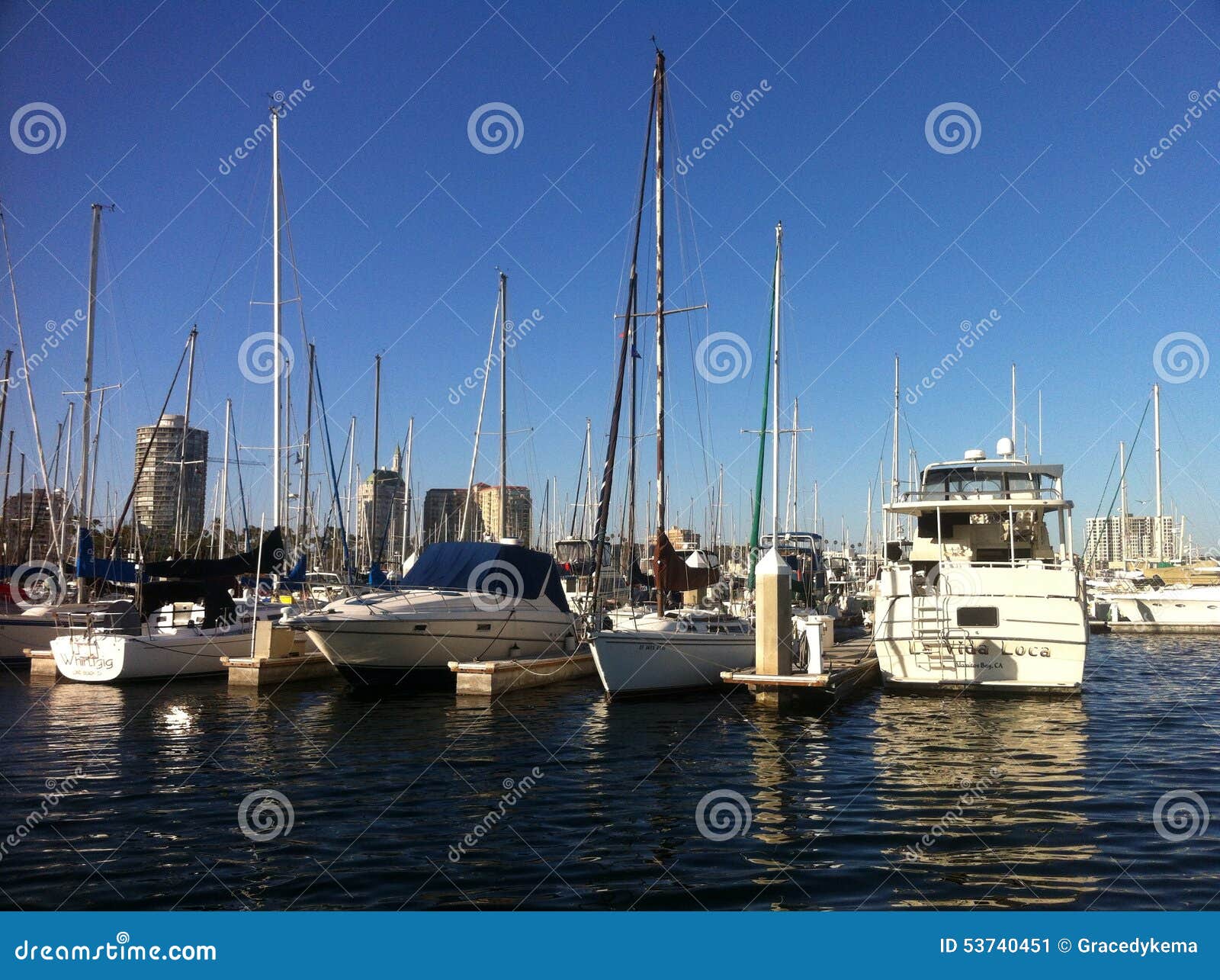 Long beach marina editorial photo. Image of gril, outdoor - 53740451