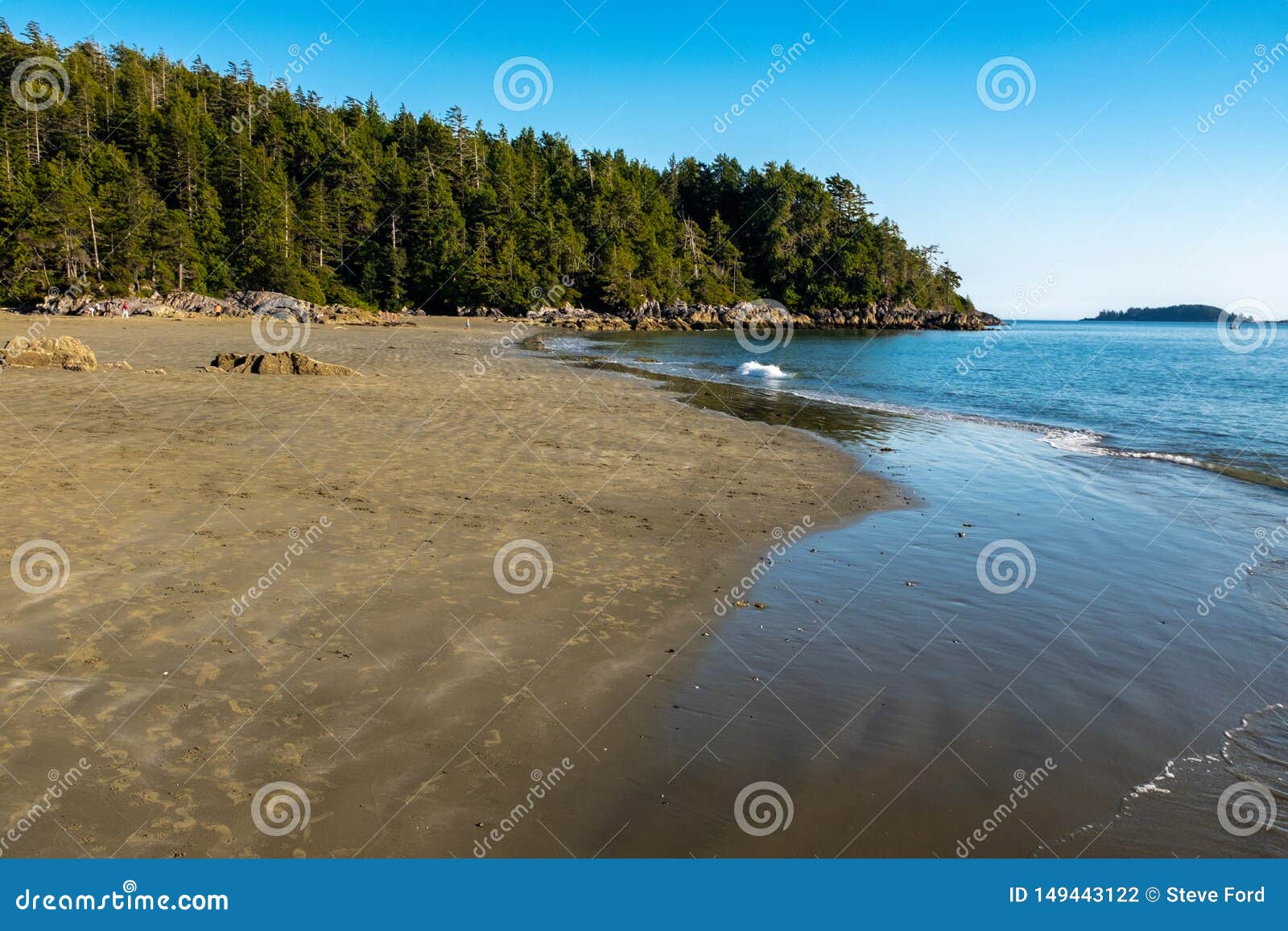 Long Beach Tofino, isla de Vancouver, Canadá, tiró última hora de la tarde con un cielo azul brillante, algunas personas en la distancia lejana, el bosque que llevaba en el océano