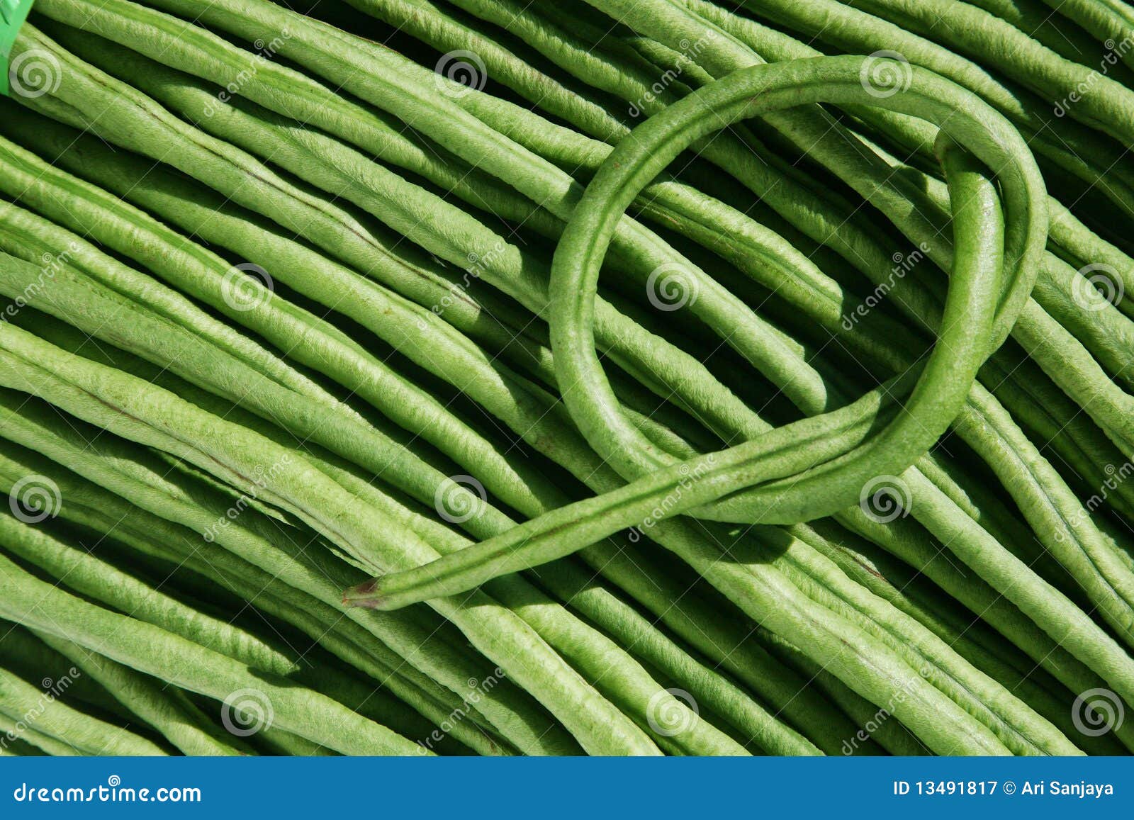Long Bean stock image. Image of stir, chinese, sweet 13491817