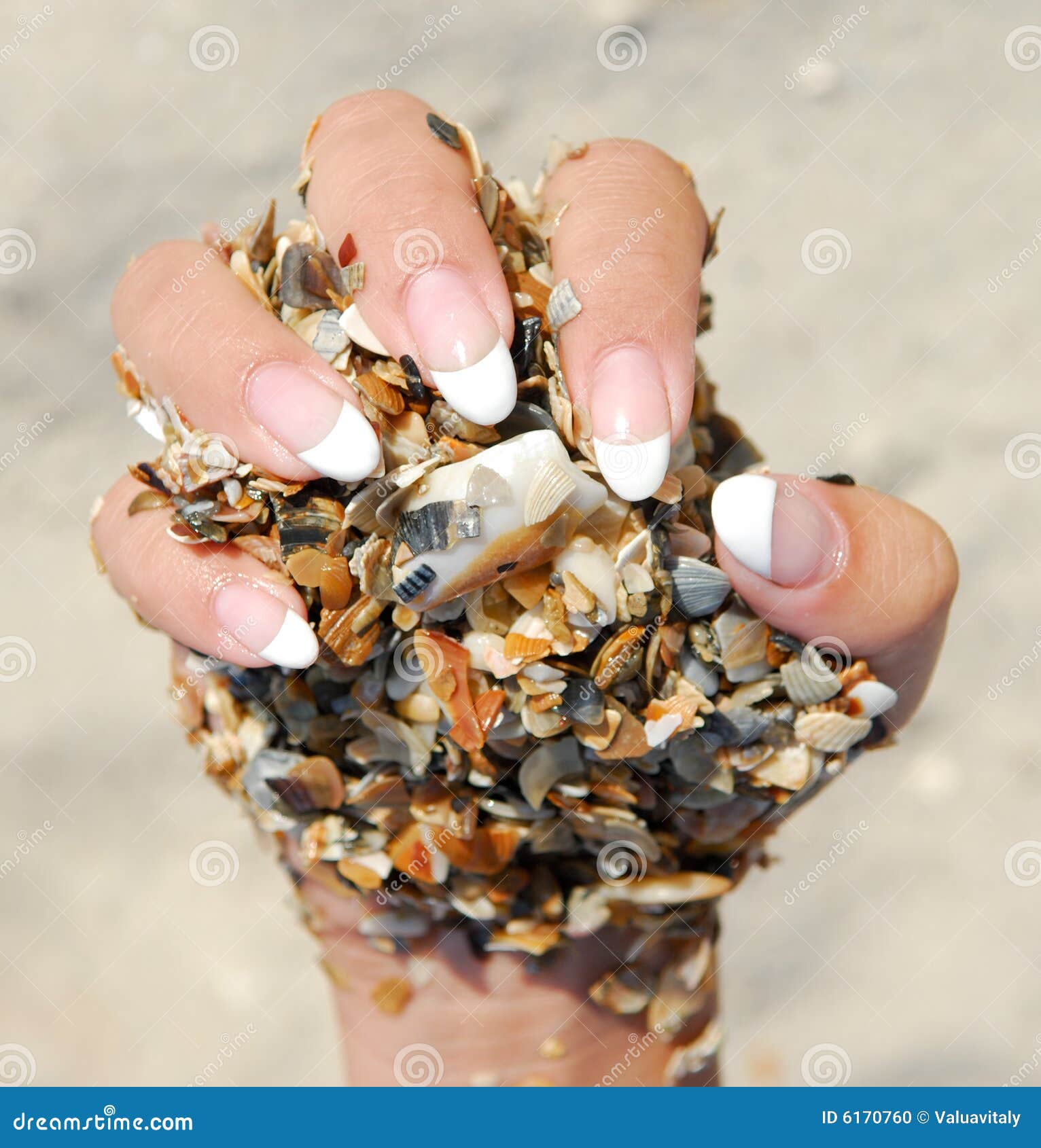 Long Beautiful Female Fingers Stock Photo Image 6170760