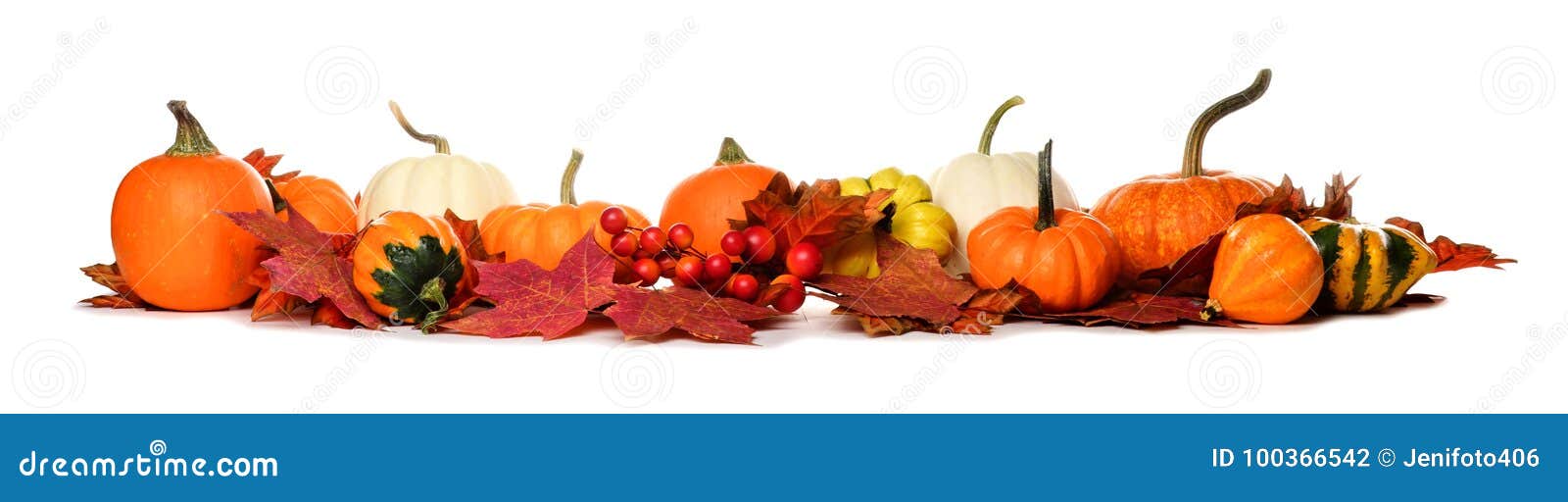 long border of pumpkins, gourds and fall leaves on white