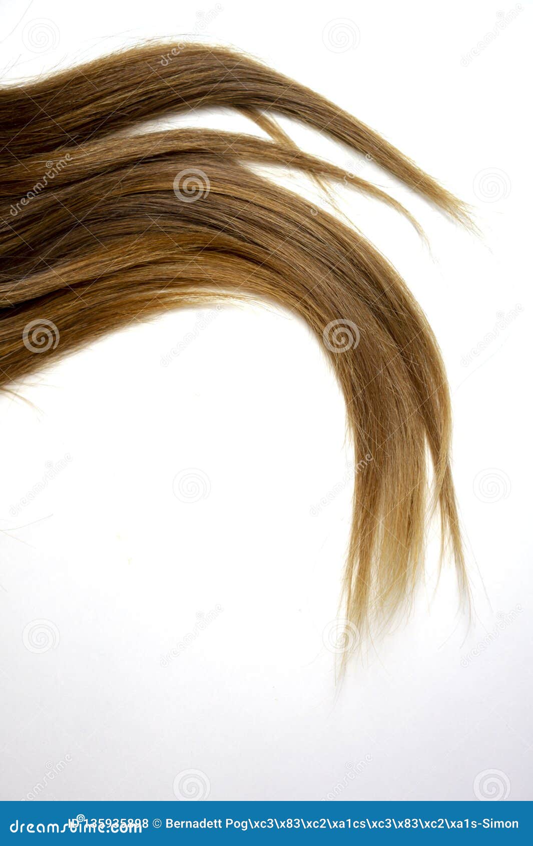 Long Brown Straight Hair On White Background Stock Photo