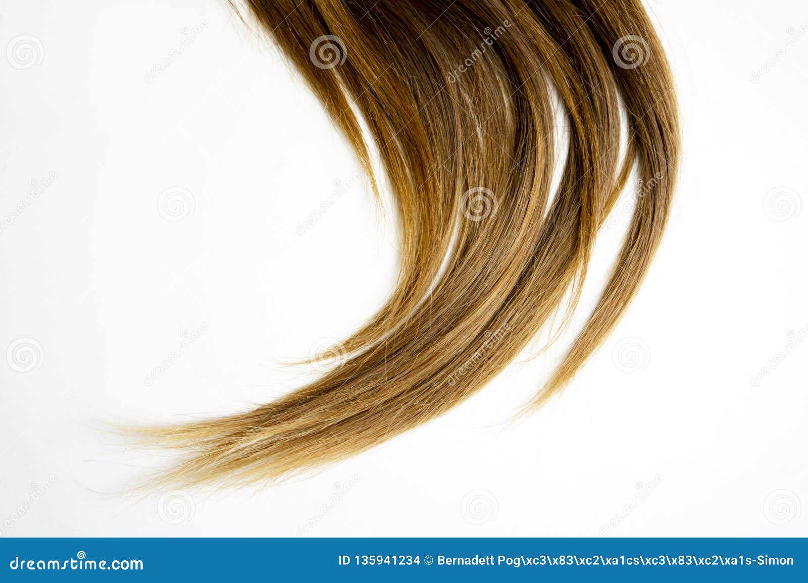 Long Brown Straight Hair on White Isolated Background Stock Photo - Image  of curl, care: 135941234
