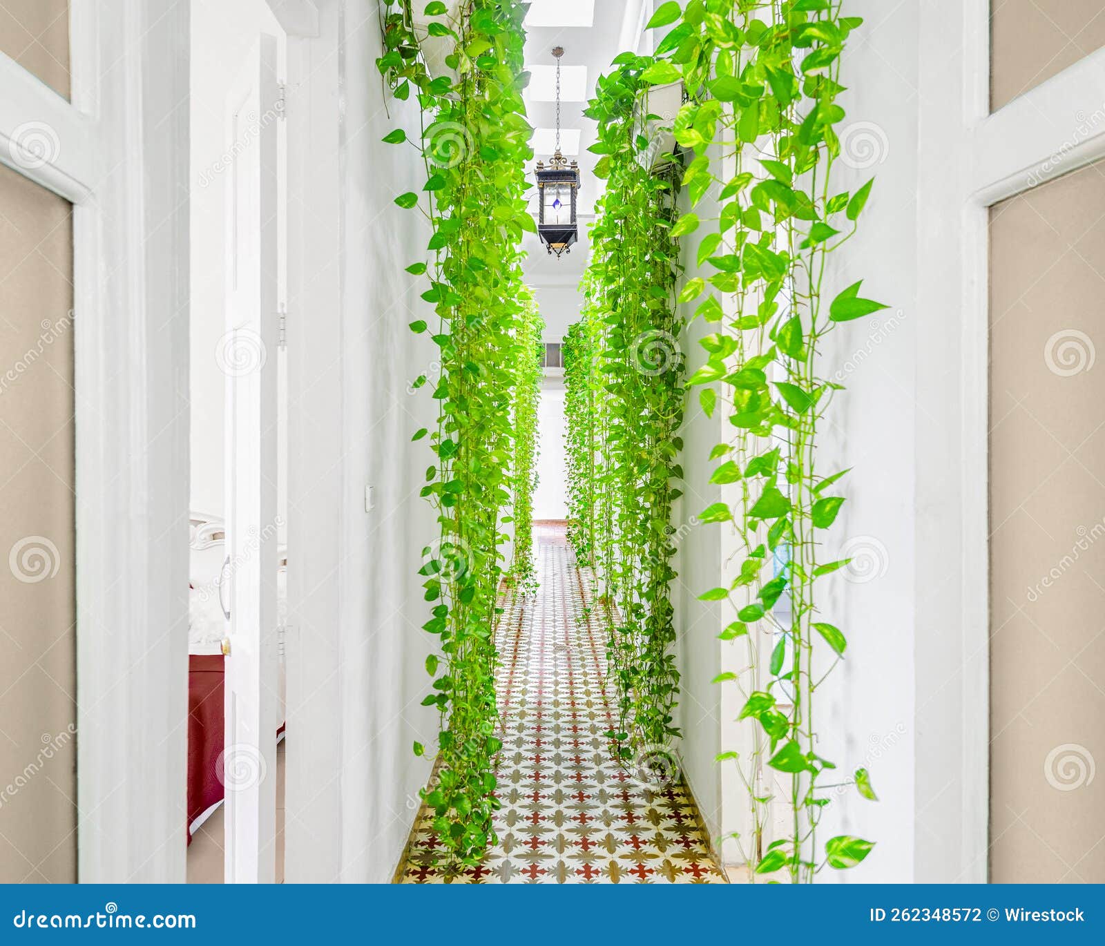 Long Corridor Decorated with Green Falling Plants Stock Photo Image