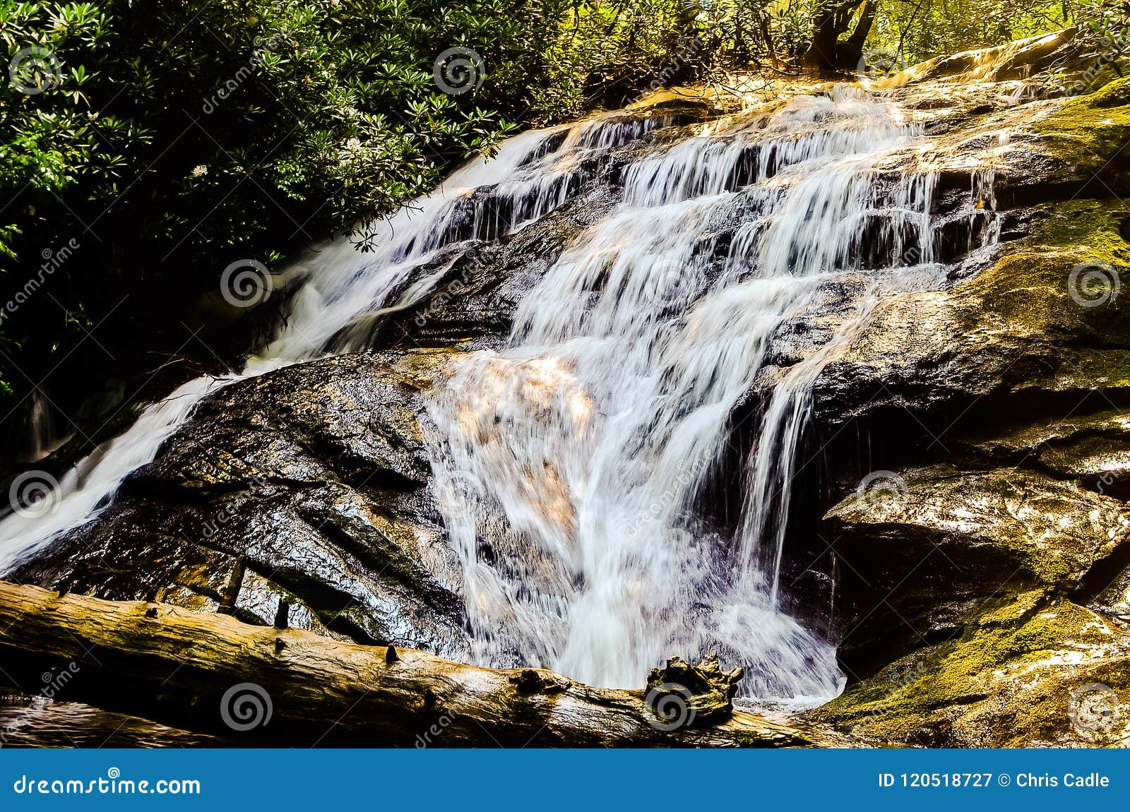 Long creek falls stock image. Image of ridge, 120518727