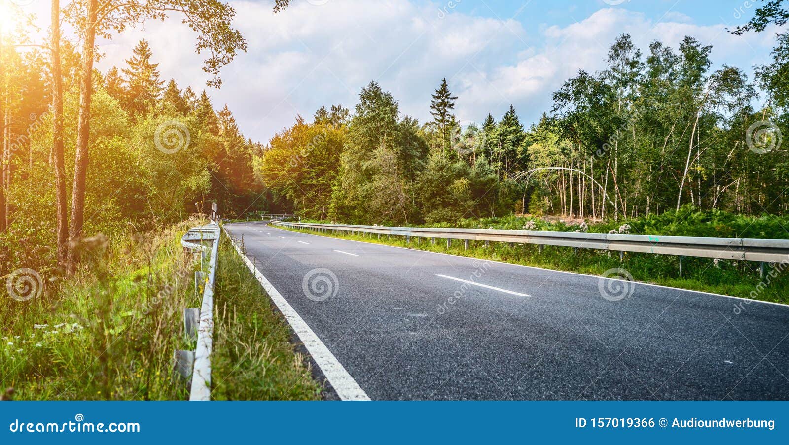 Long Curvy Forest Road In Alpine Mountains Stock Photo Image Of