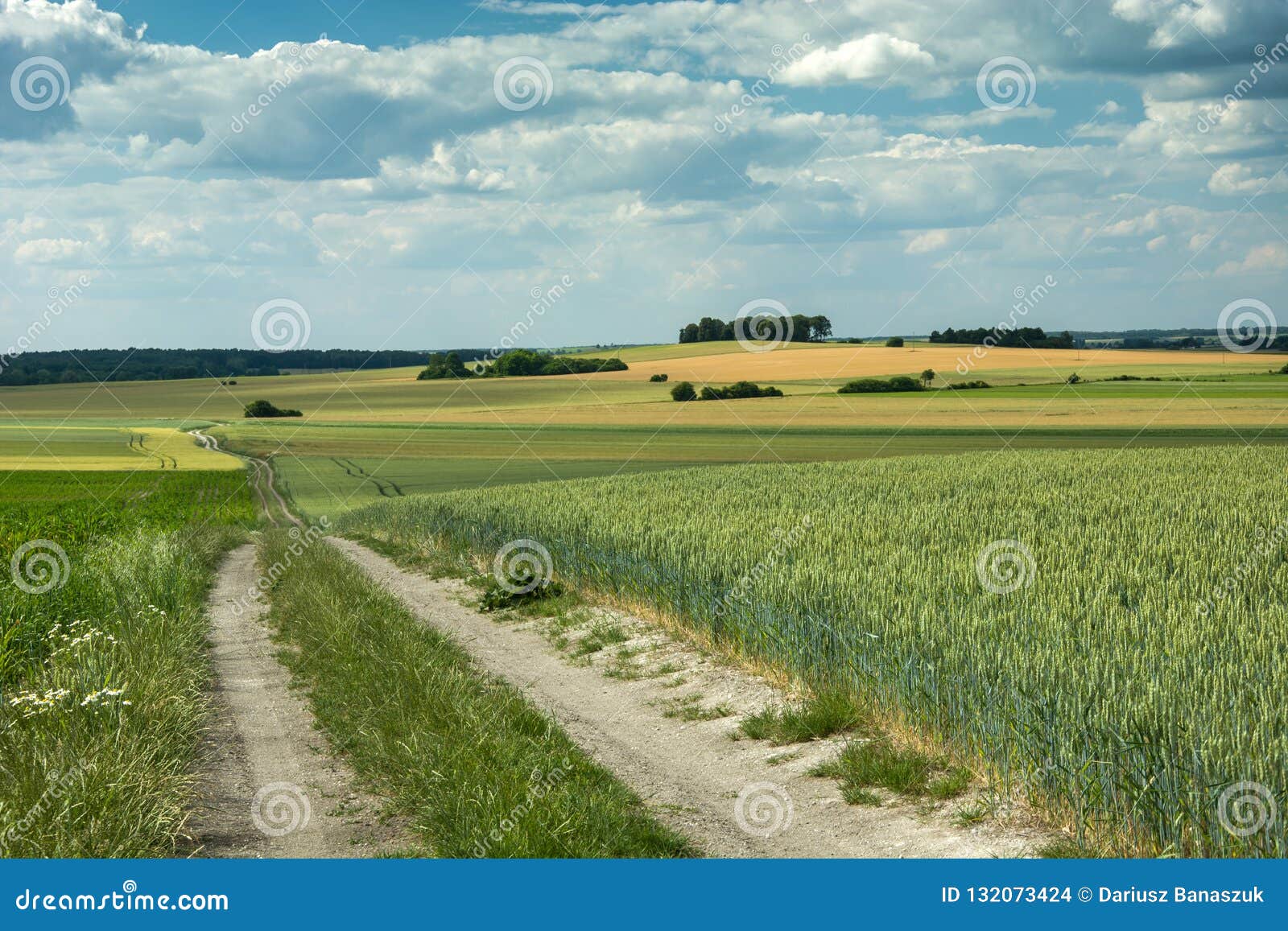 long road through fields, copses in the hills and a cloudy sky