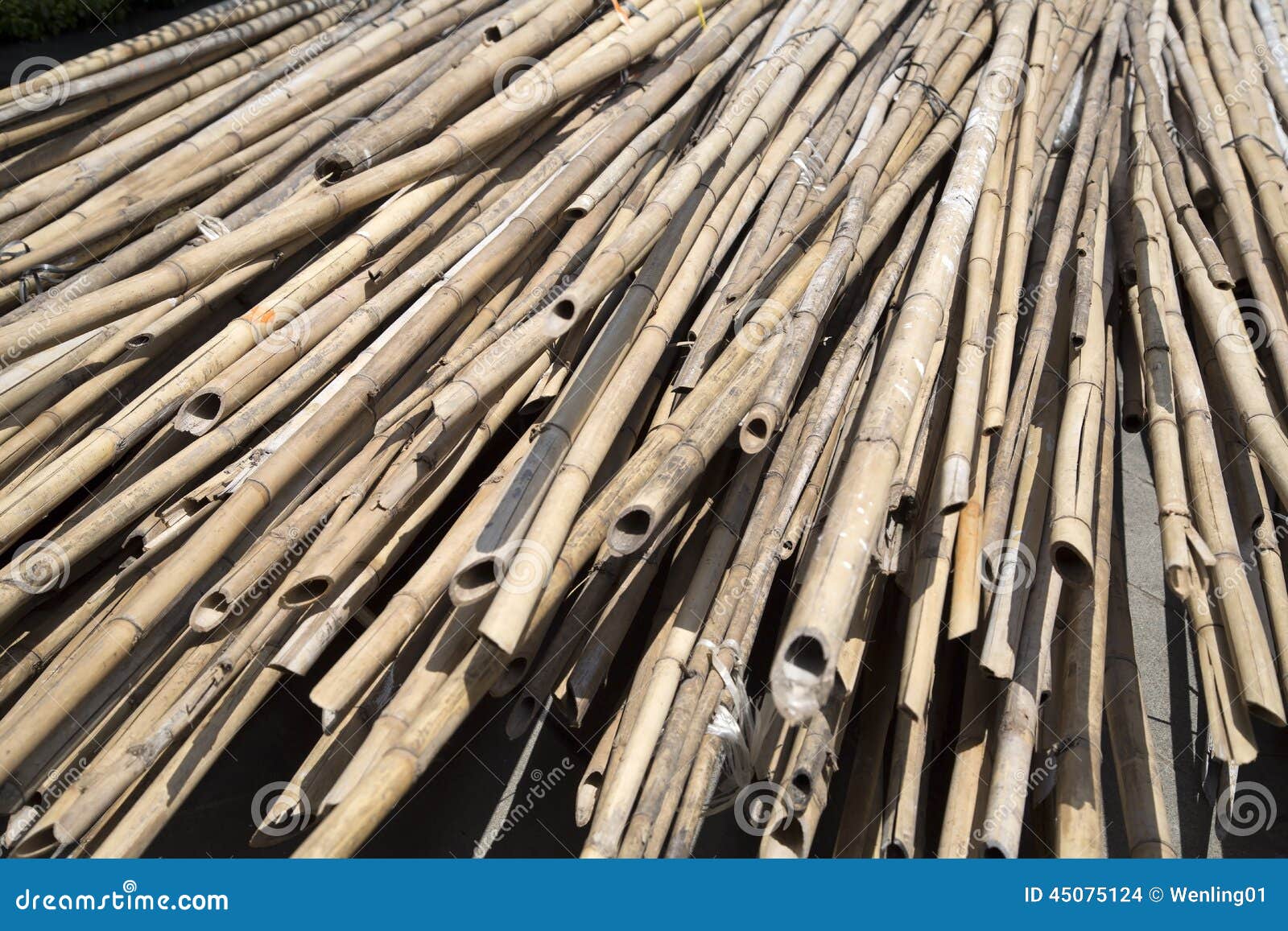 Long dried bamboo stock photo. Image of long, industries 45075124