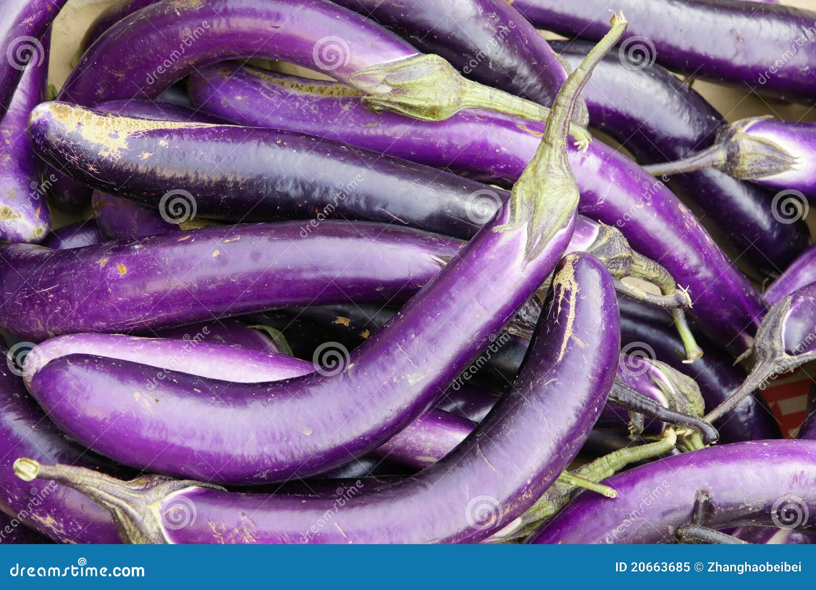 Long eggplant stock image. Image of eating, vegetables 20663685