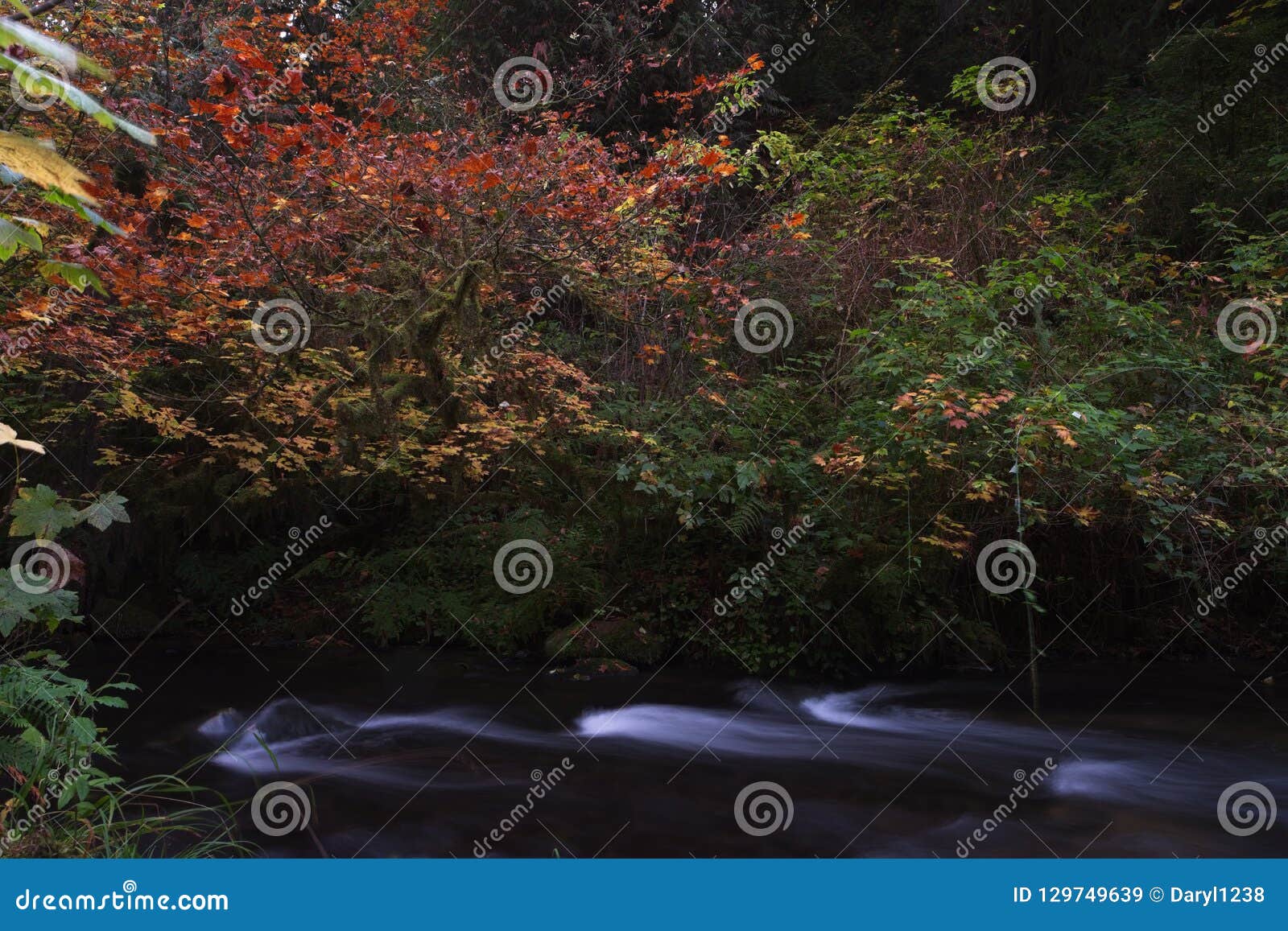 Long Exposure Photographs of Rolling River with Fall Foliage Stock