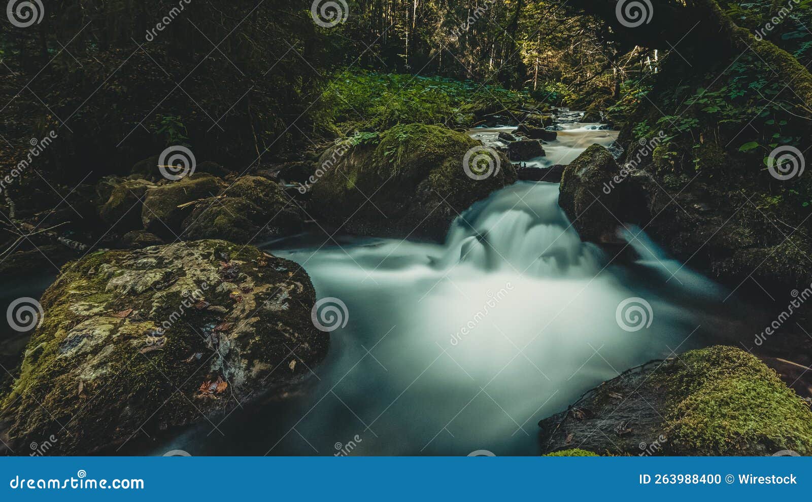 Long Exposure of a River in a Forest Stock Photo Image of landscape
