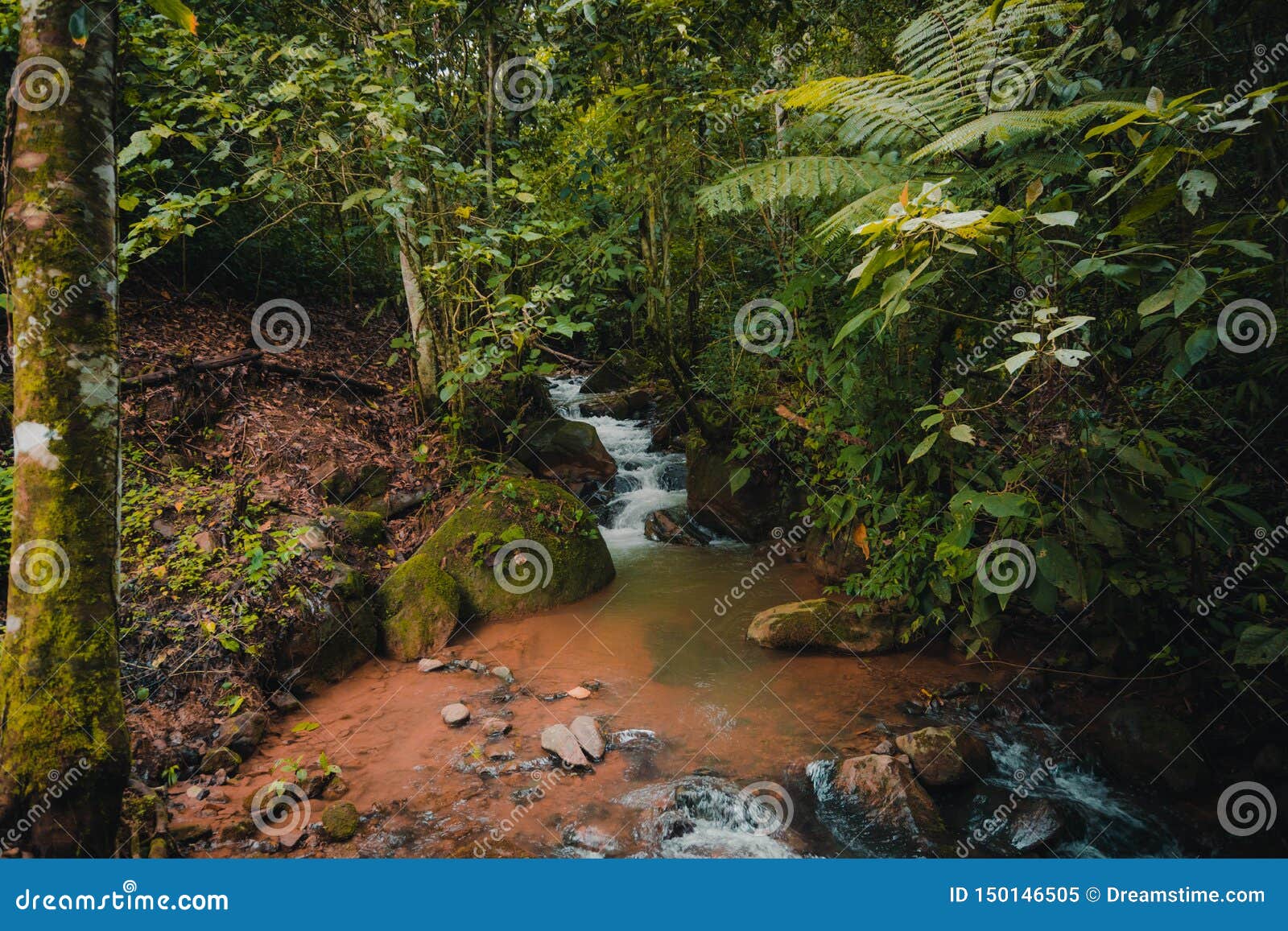 long exposure of a river in a tropical humid forest in costa rica