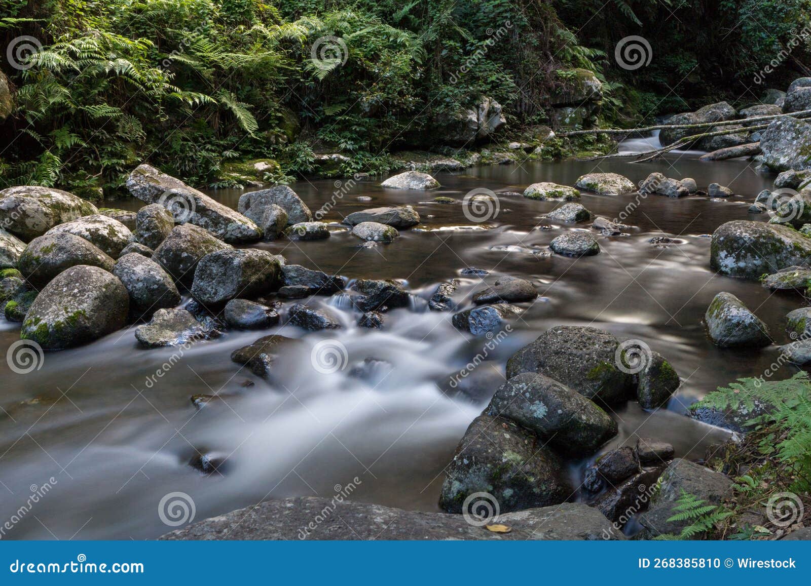 Long Exposure Shot of a River Flowing through the Stones. Stock Photo