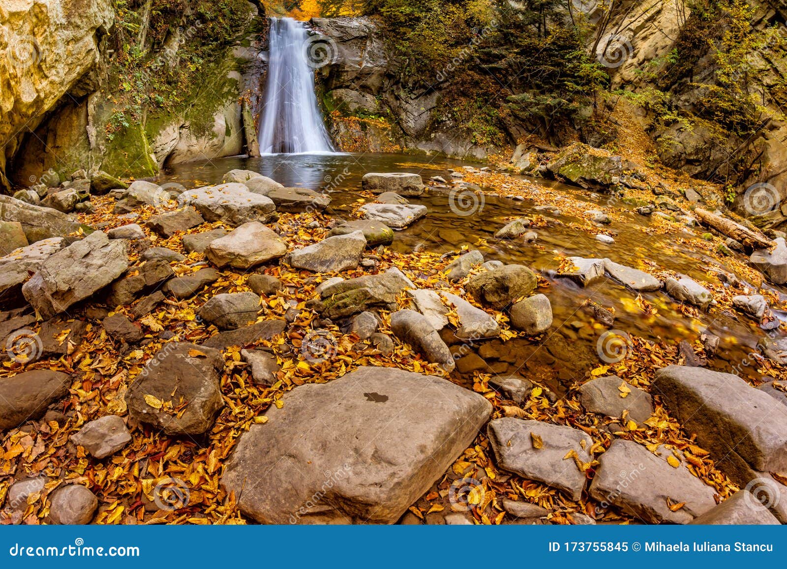long exposure view of the beautiful pruncea caÃÅ¸oca waterfall with fallen leaves in an autumn landscape