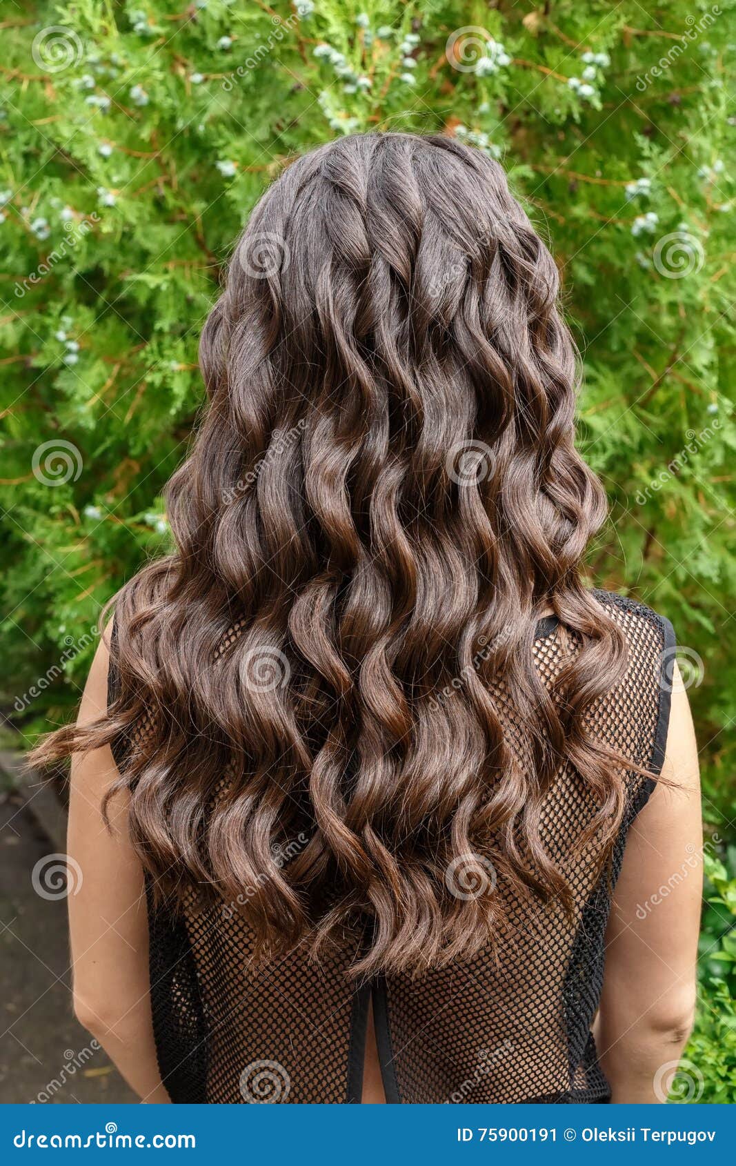 Long Glossy Curly Hair Back View Stock Image - Image of attractive,  beautiful: 75900191