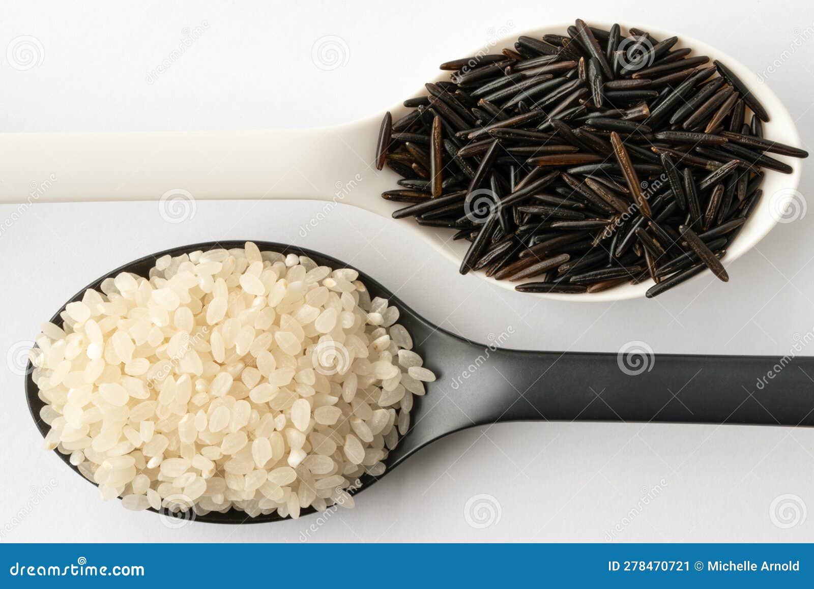 Long Grain and Sushi Rice on Spoons Stock Image Image of ingredient