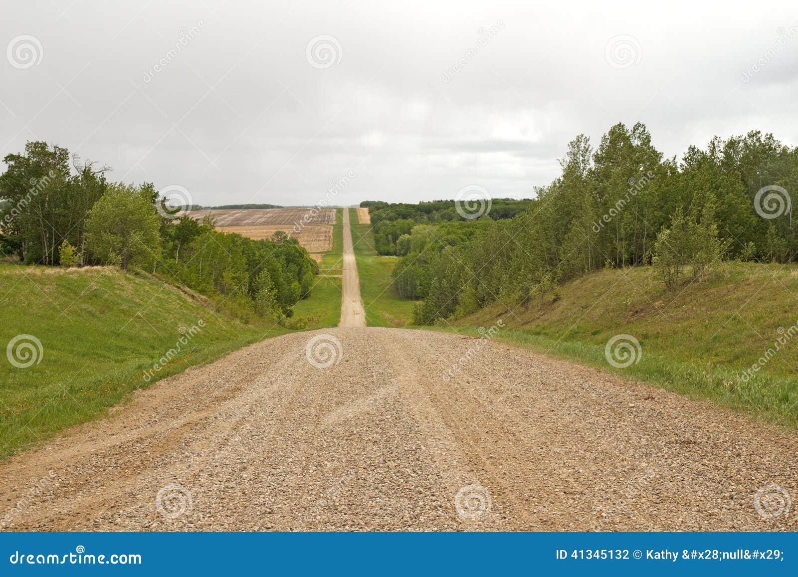Long Gravel Road Lined by Trees Stock Photo Image of hilly, focus