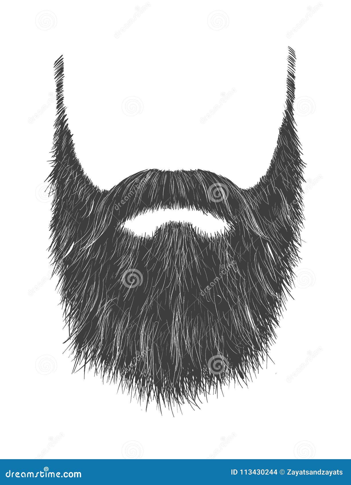 Long Gray Beard stock vector. Illustration of face, hair - 113430244