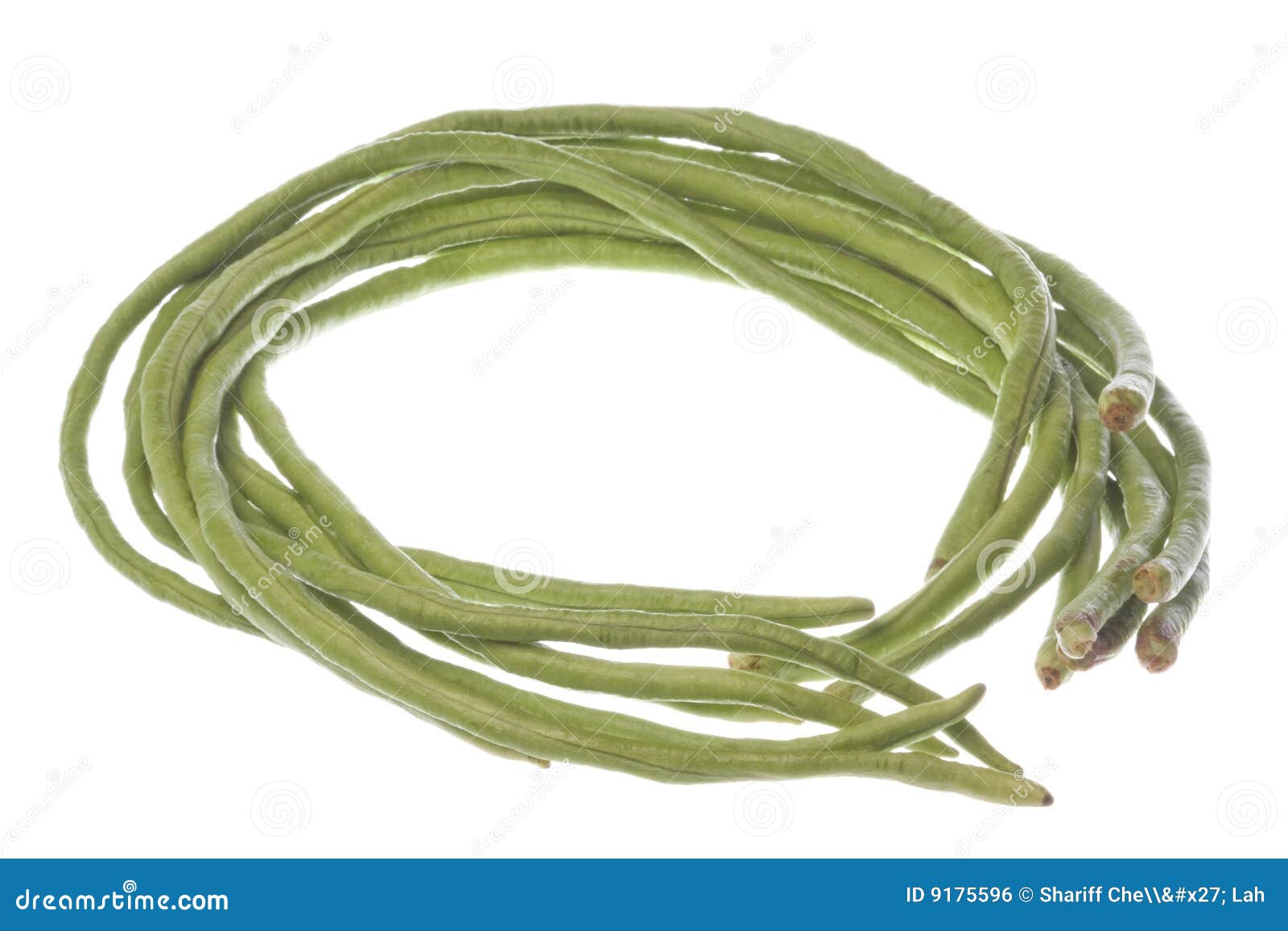 Long Green Beans Isolated stock photo. Image of peas, beans 9175596