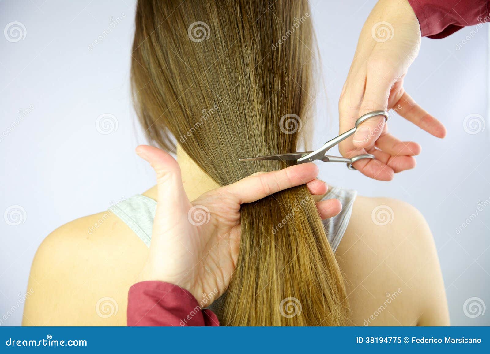 Long Hair Being Cut With Scissors Royalty Free Stock Photo 