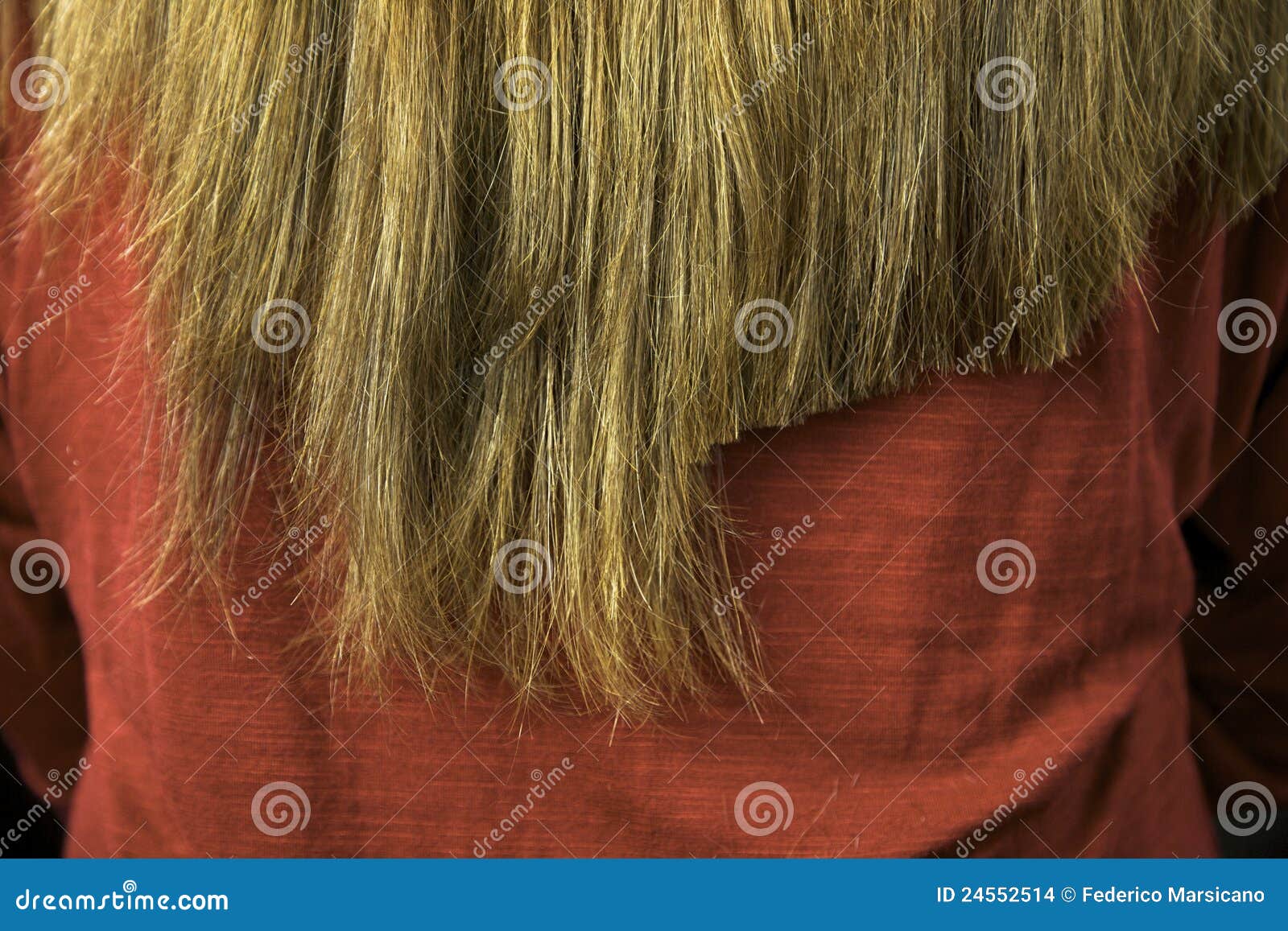 Long Hair After Some Cutting Close Up Stock Images - Image 