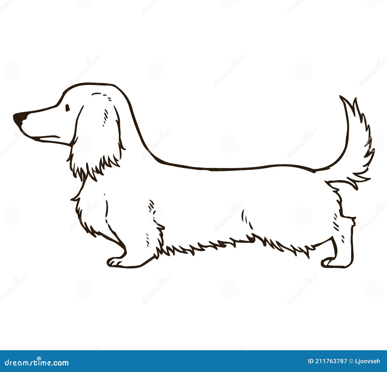 Long Haired Dachshund Stock Illustrations – 117 Long Haired Dachshund Stock Illustrations, Vectors & Clipart - Dreamstime Long Haired Dachshund Stock Illustrations – 117 Long Haired Dachshund Stock Illustrations, Vectors & Clipart - Dreamstime