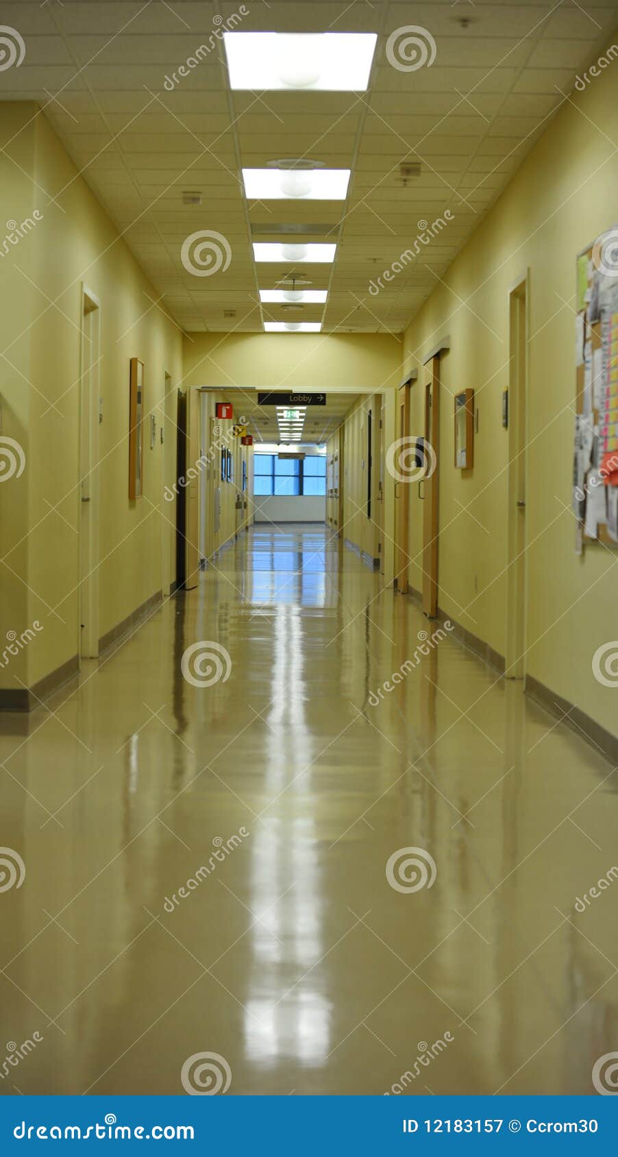 Long hallway stock image. Image of lights, corridor, wall 12183157