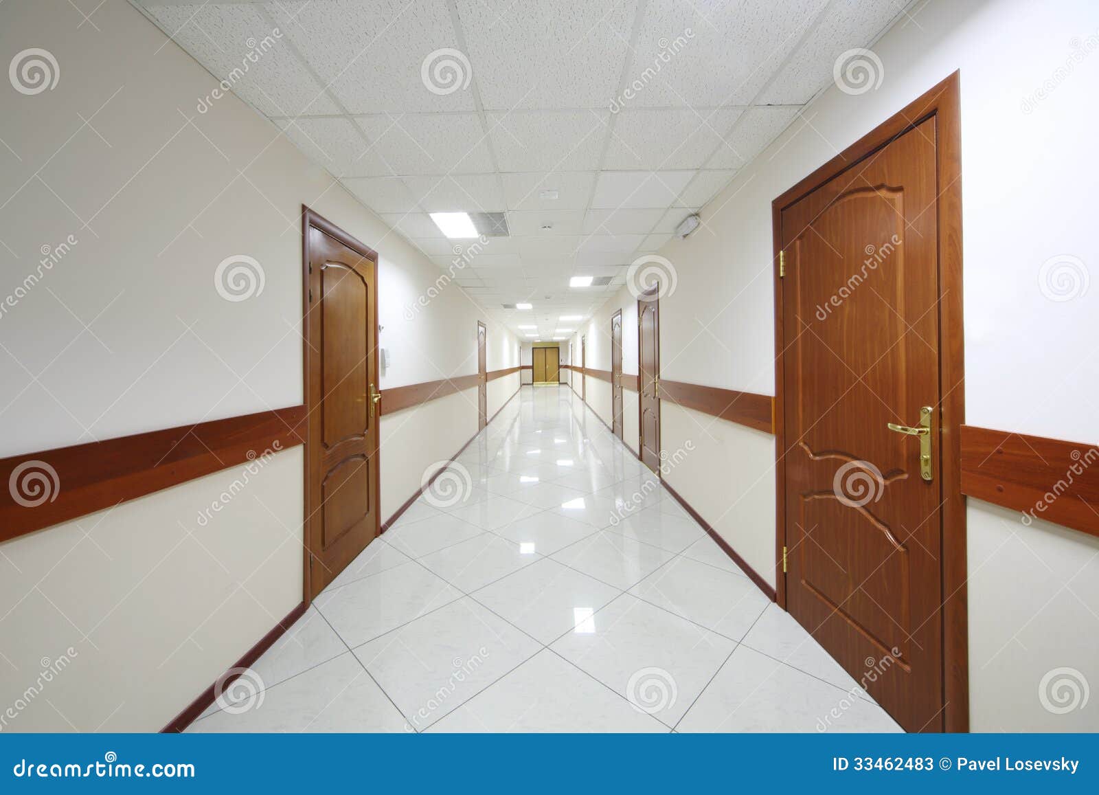 Long Hallway with Wooden Doors Stock Image Image of floor, concept 33462483