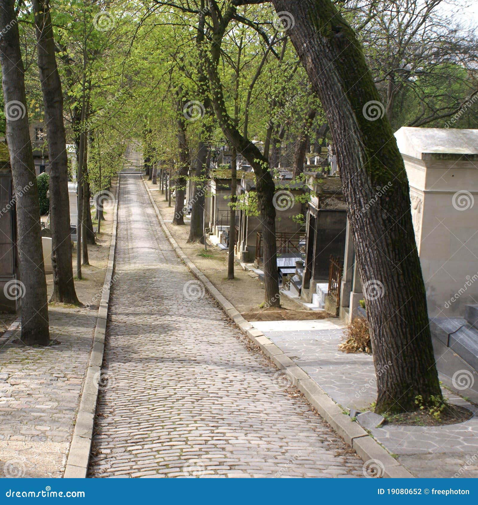 long paved alley - pere lachaise cemetery