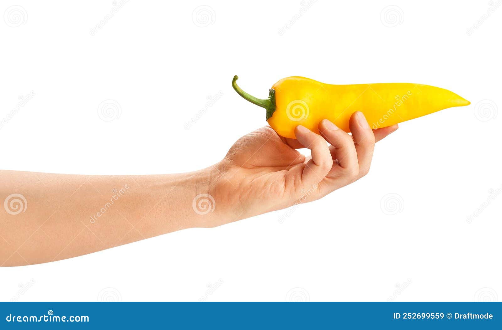 Long pepper in hand stock image. Image of vegetable 252699559
