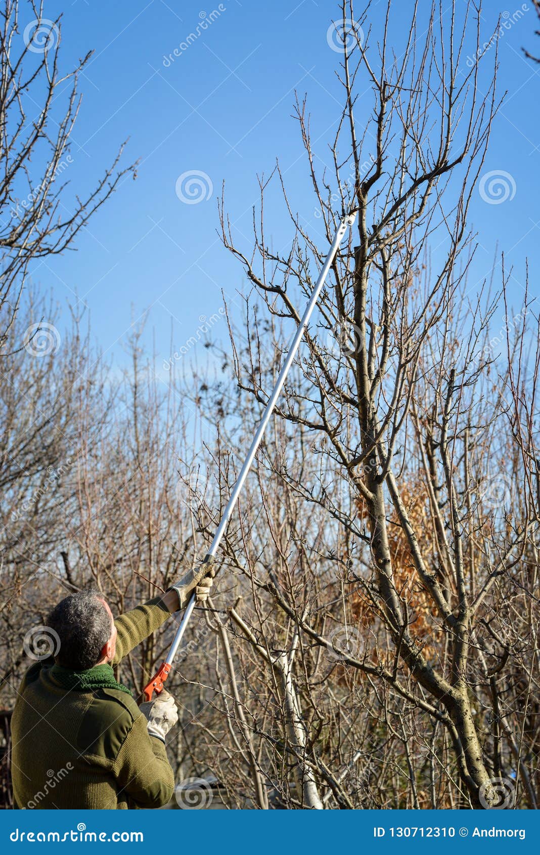 Long Pruning Shears on Extension Pole Stock Photo Image of fall