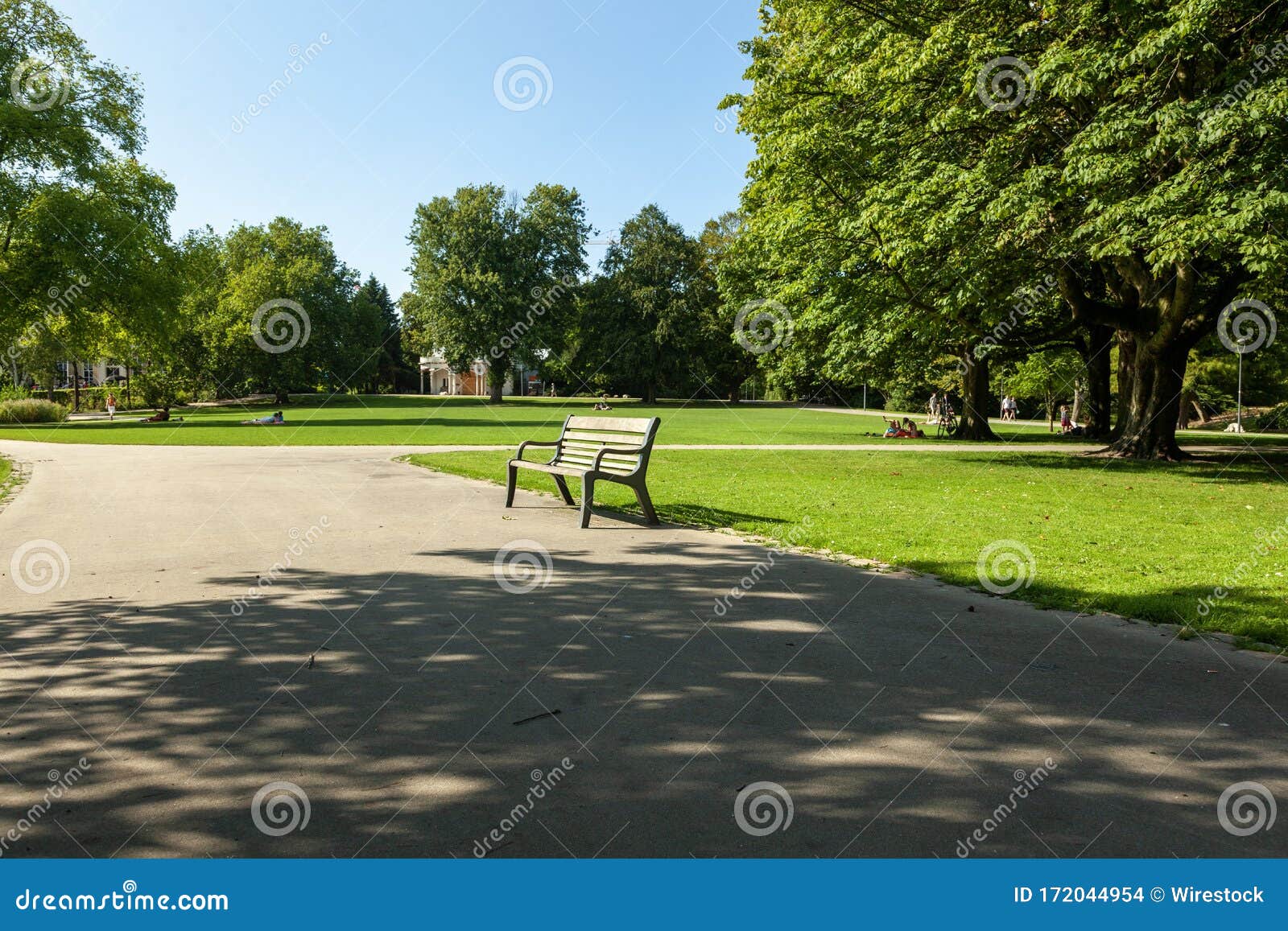 Long Shot Wooden Bench Along a Path in a Park Surrounded by Trees in ...