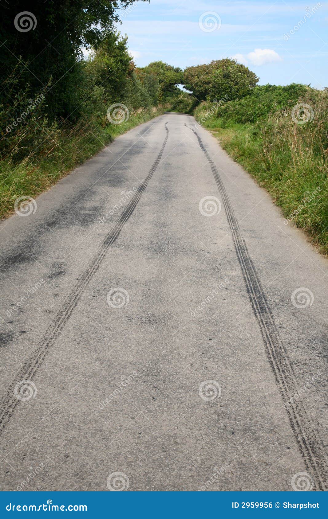 Long skid marks. stock photo. Image of driving, skidmarks - 2959956
