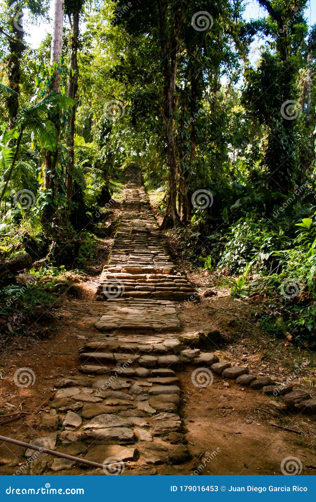 long stairway to reach the lost city