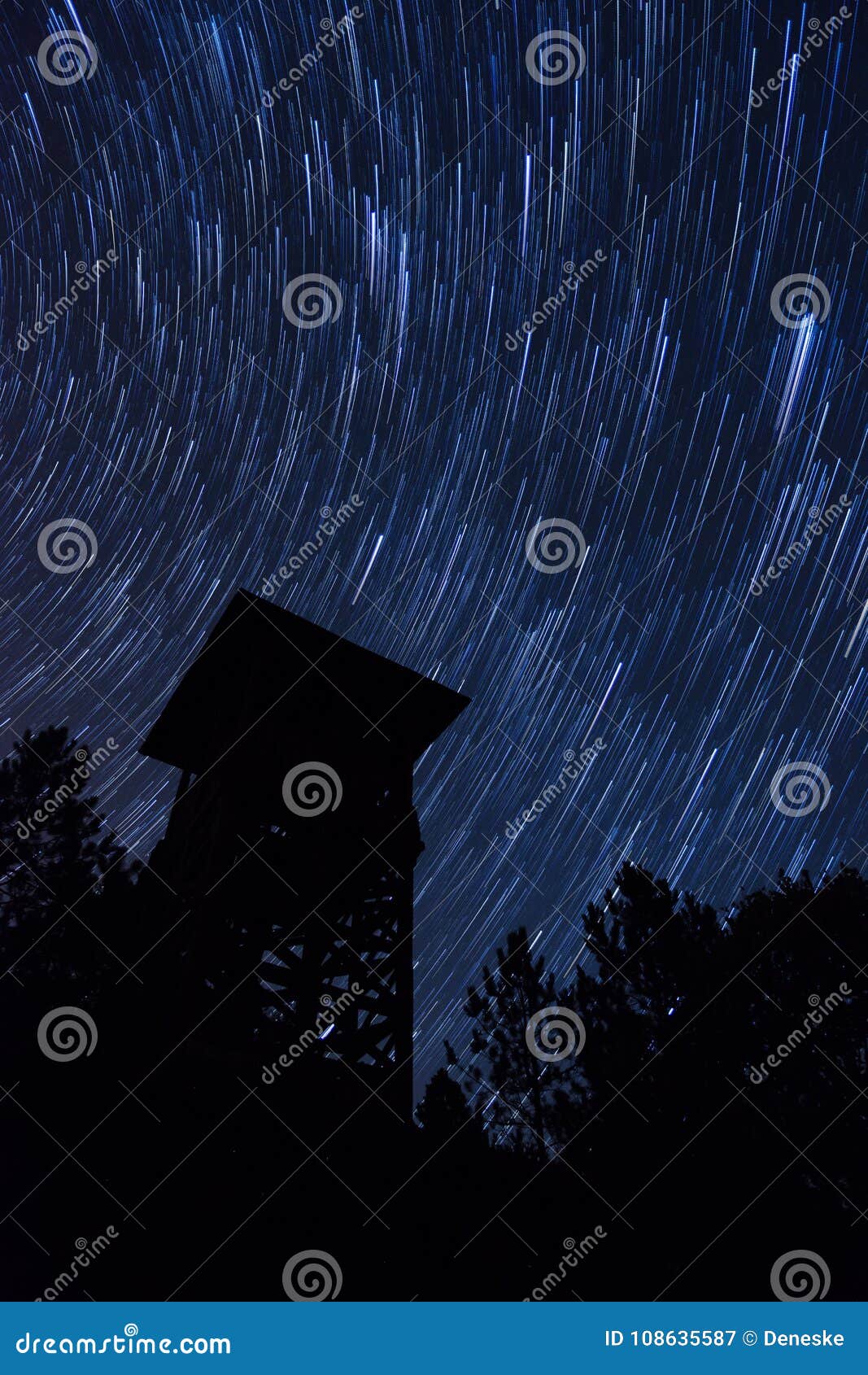 startrail naturals startrail naturals