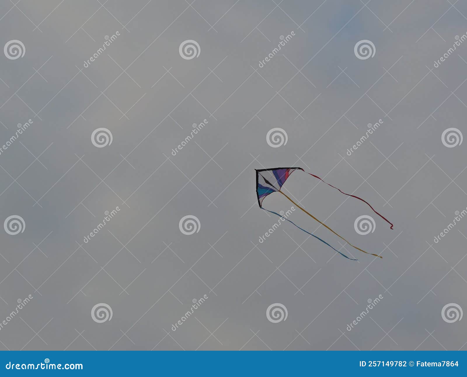 long tailed kite flying under cloudy grey sky - gujarat india kite flying festival