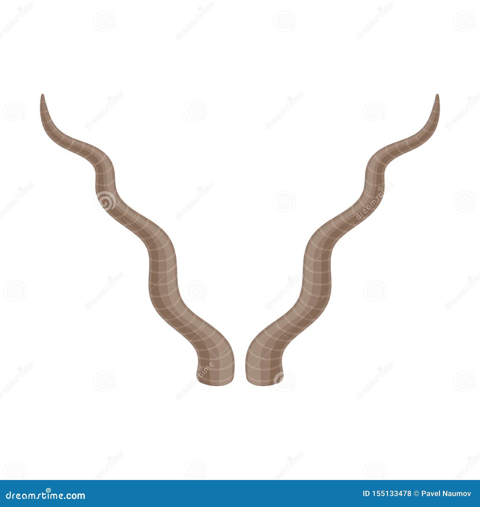 long wavy horns.   on white background.