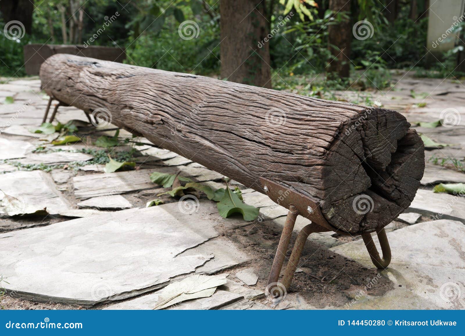 A Long Wood Log Outdoor Bench Stock Photo Image Of Grass