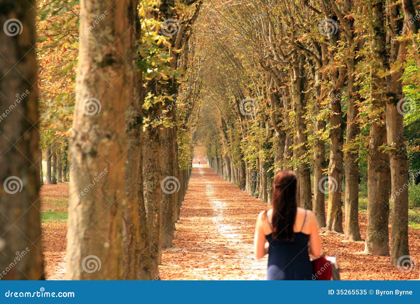 long wooded path with a woman walking down it