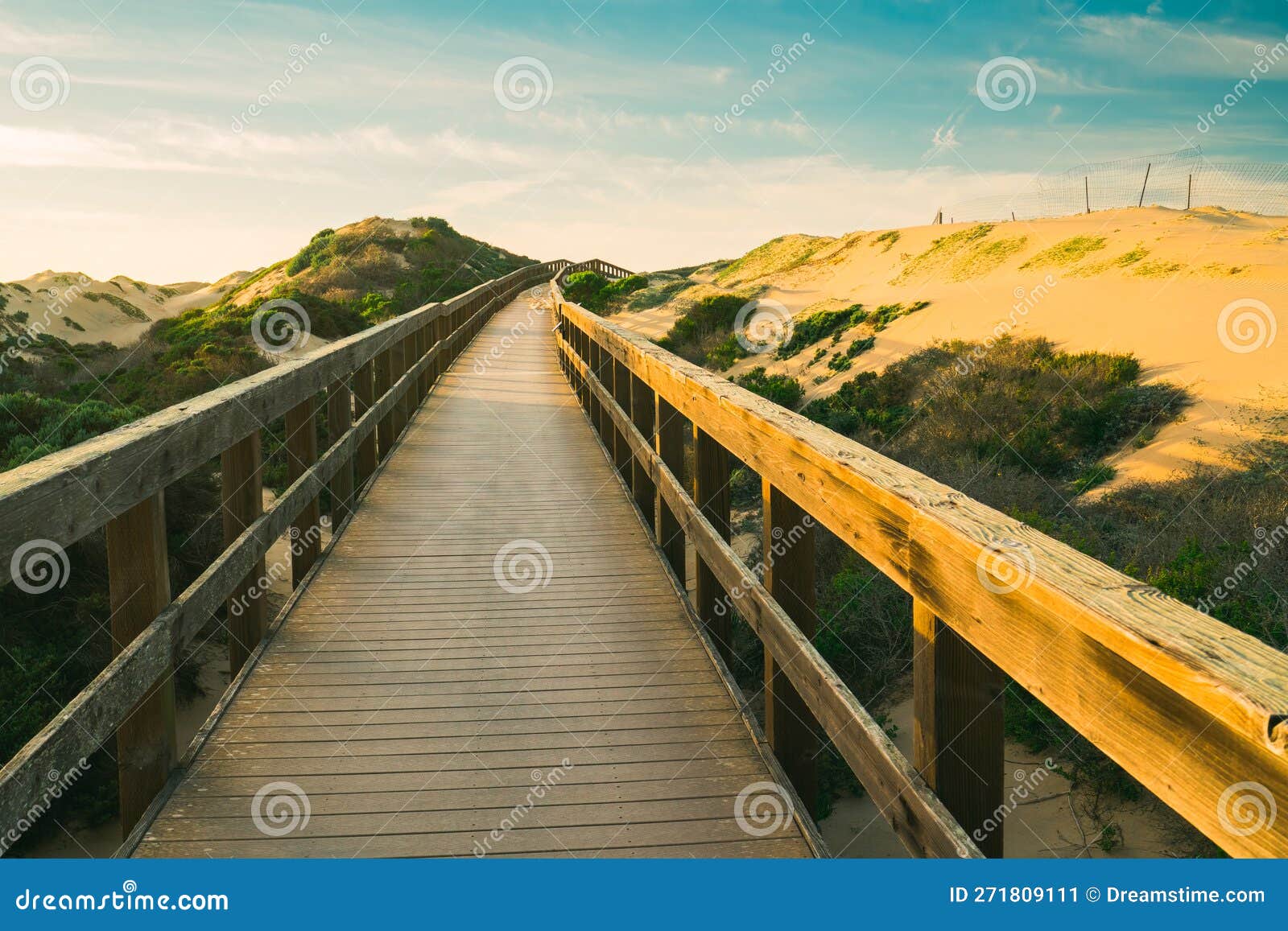 a long wooden boadwalk seems to stretch to infinity. walkway through sand dunes and native forest leading to the beach. oceano,