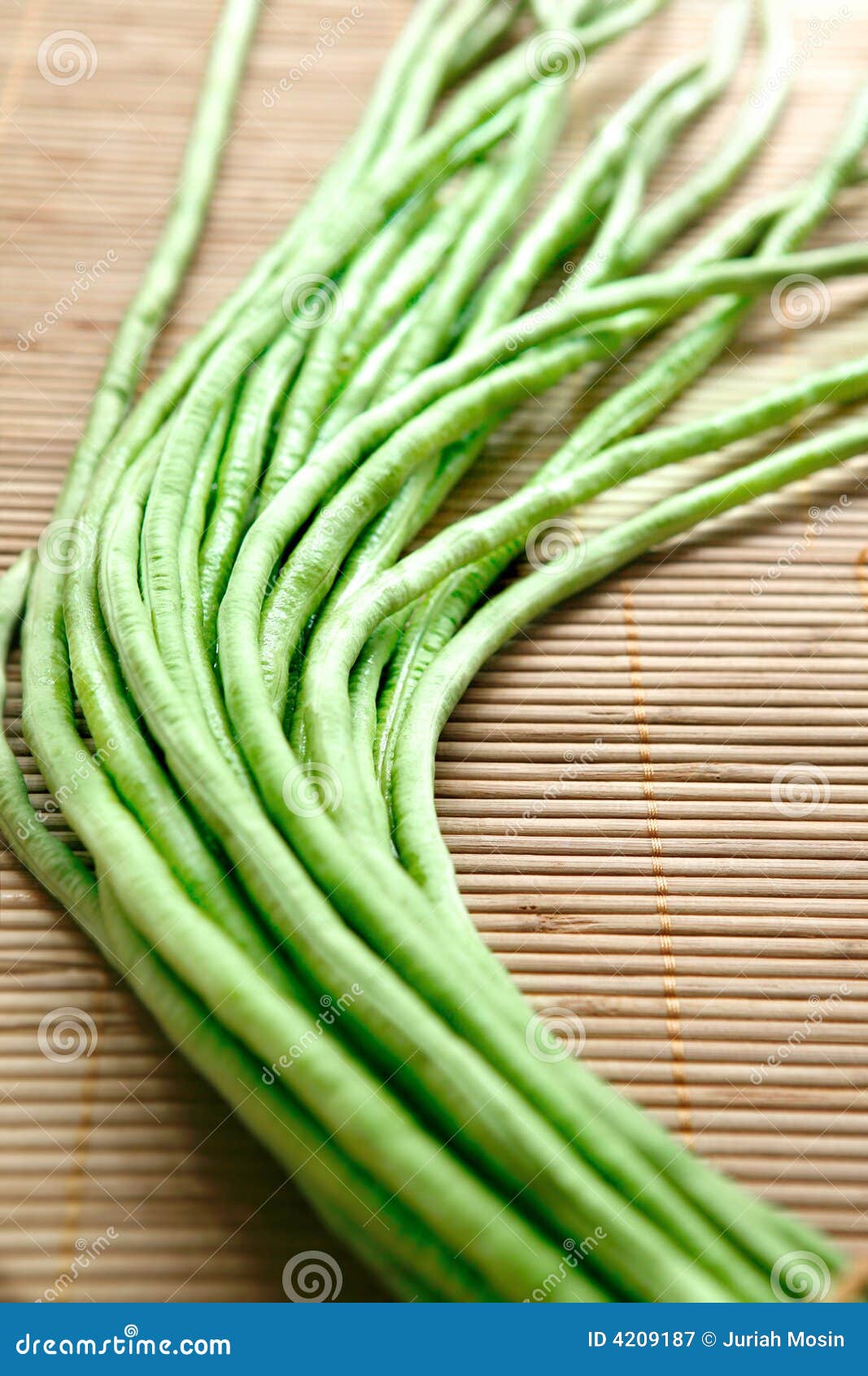 Longbean, a Traditional Crunchy Asian Vegetable Stock Image Image of fresh, sweet 4209187