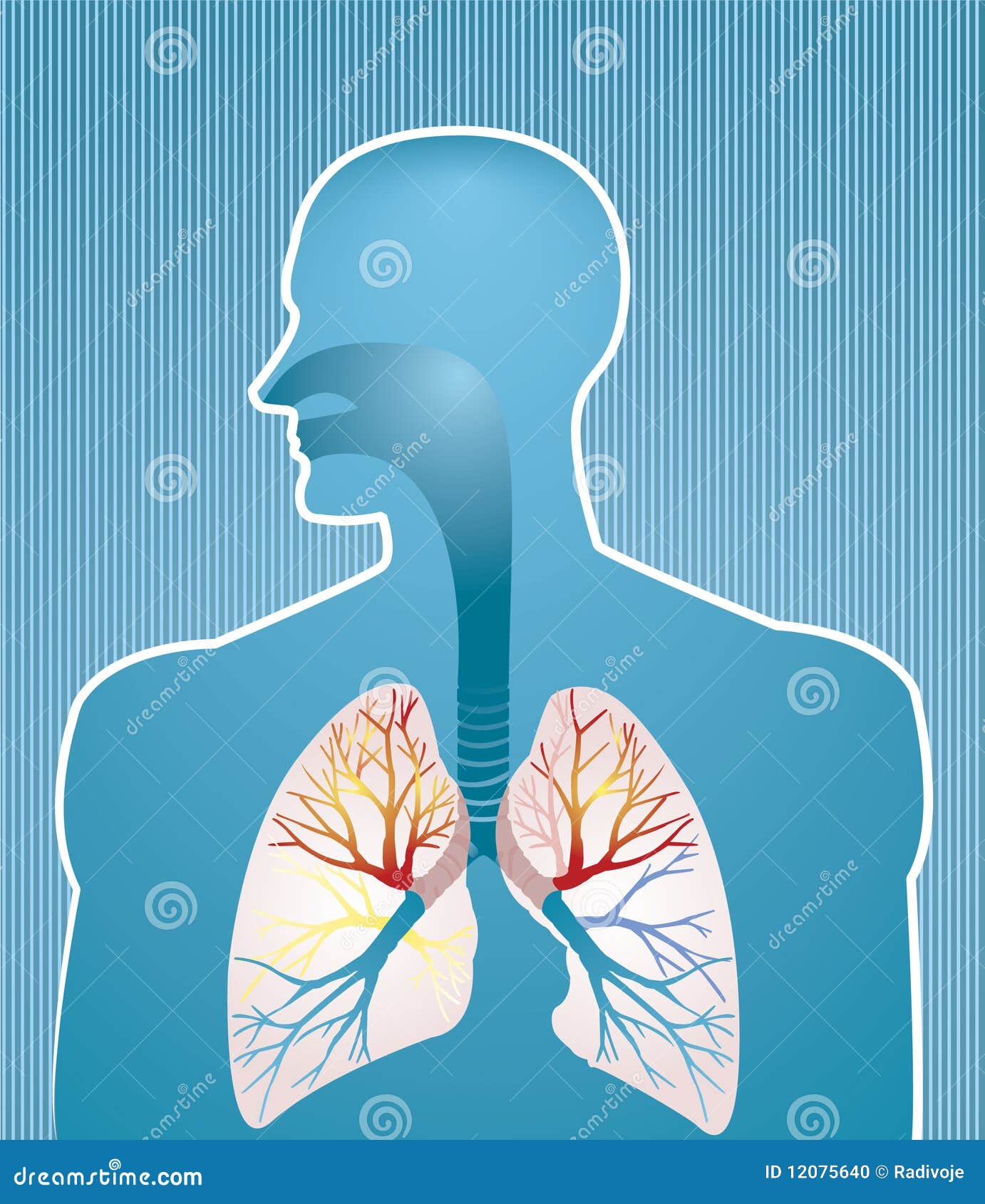Хронические заболевания дыхательных органов
