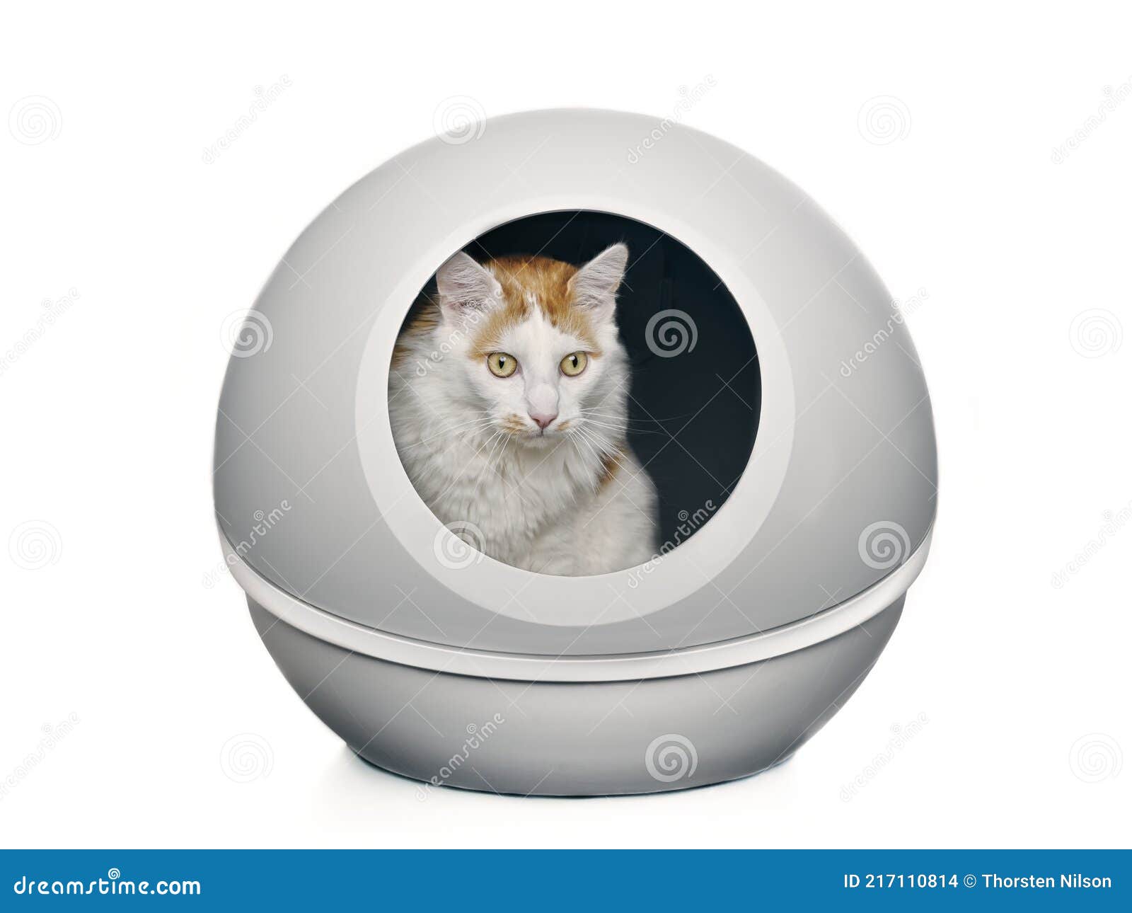 Self Cleaning Pet Litter Box Stock Photos - Free & Royalty-Free Stock  Photos from Dreamstime