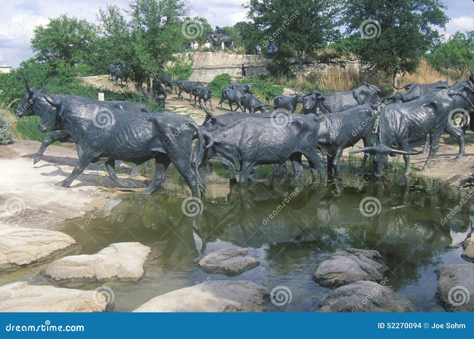 Longhorn Cattle Sculpture in Pioneer Plaza, Dallas TX Stock Photo