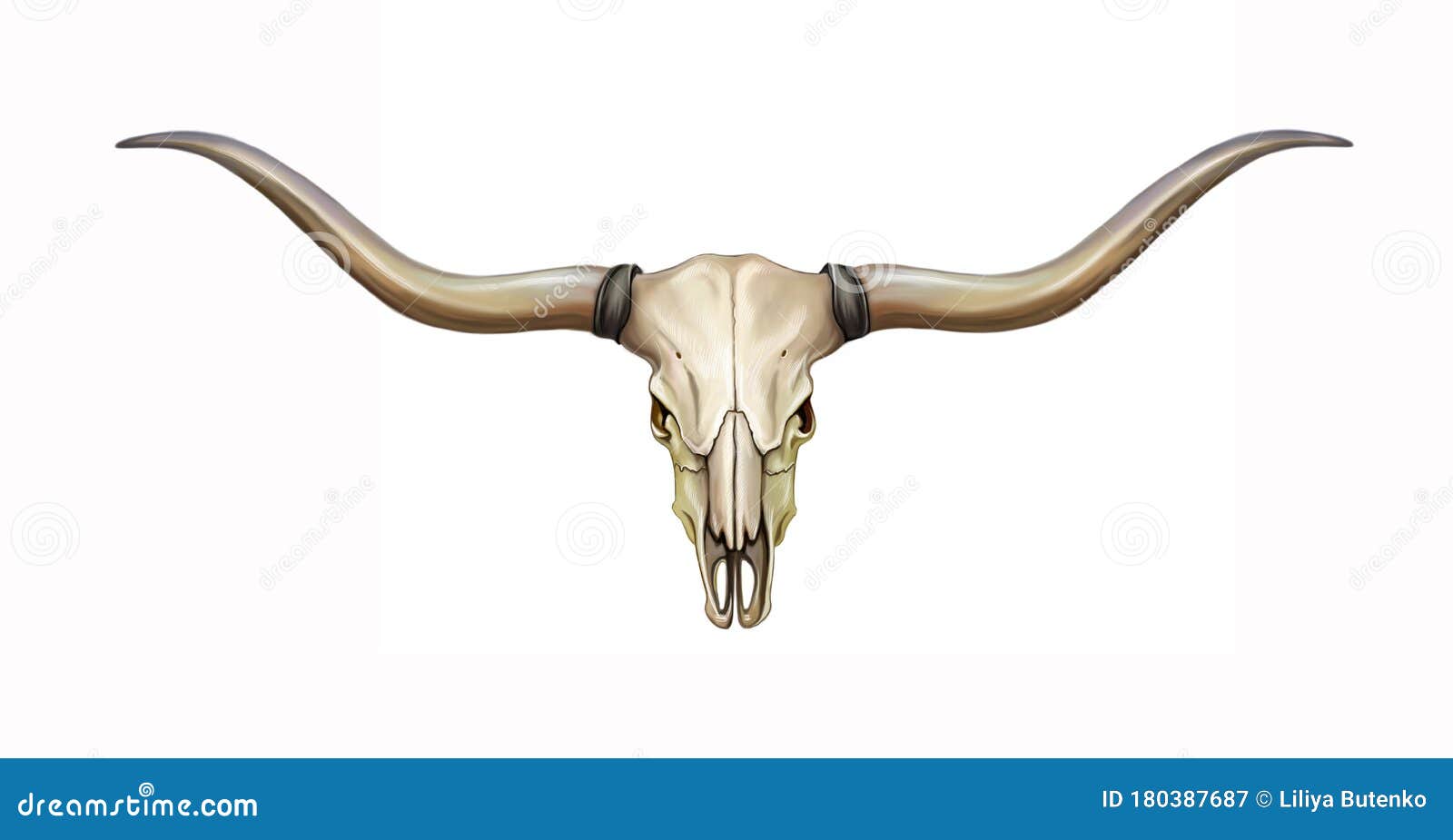 ut longhorn logo clip art