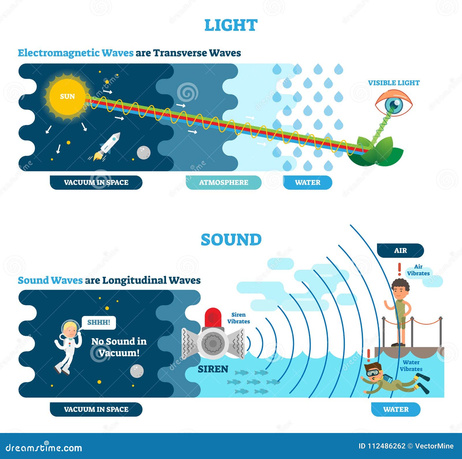 longitudinal and transverse wave type,   scientific diagram. sonic and visual perception principle.