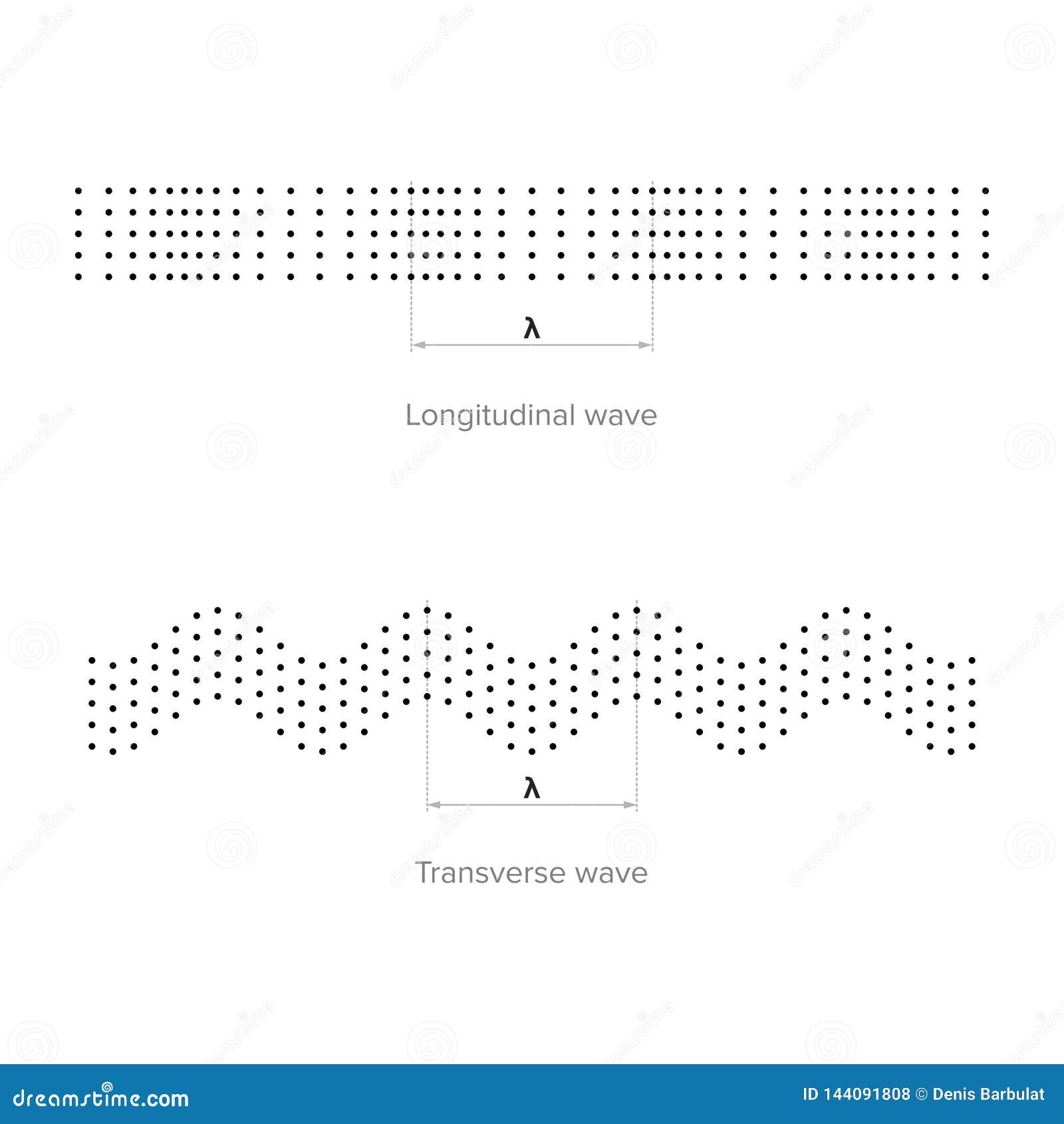 longitudinal and transverse waves
