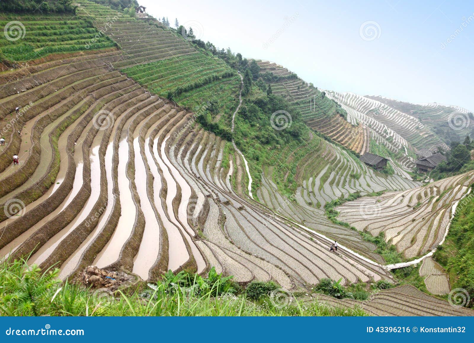 longji rice terraces unesco site, china