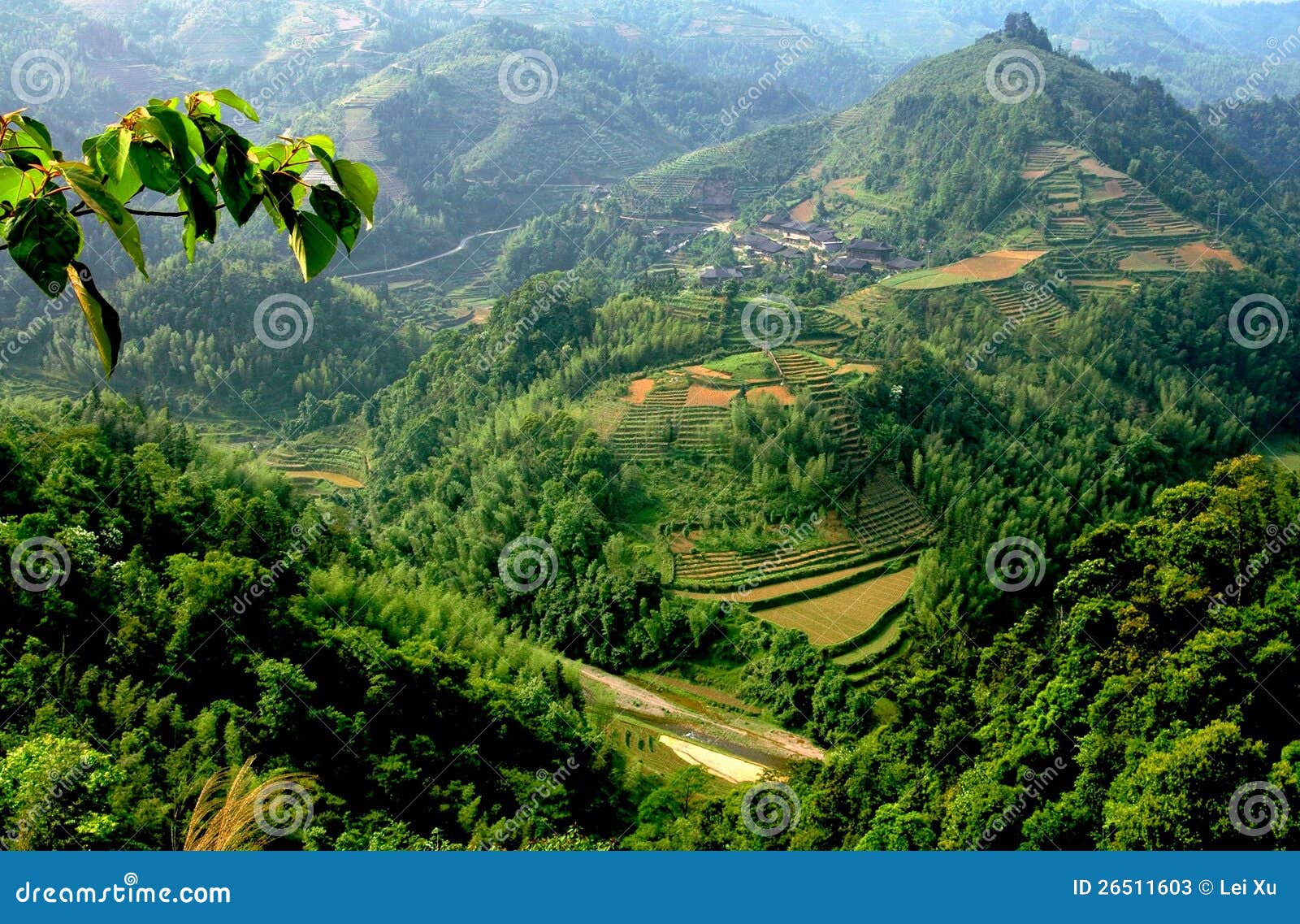 longsheng, china: mountainside rice paddies