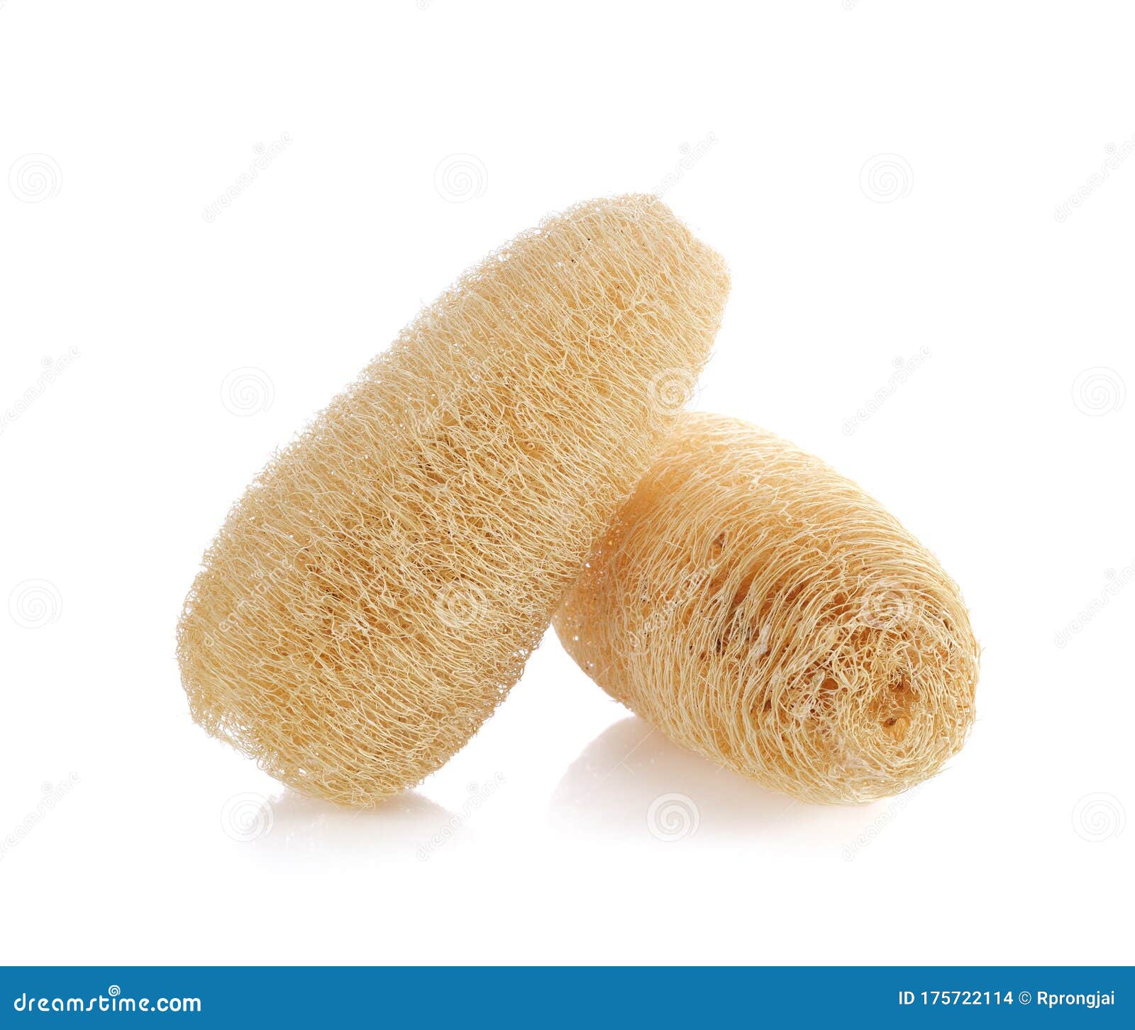 Loofah Body Scrub on white stock photo. Image of massage 175722114